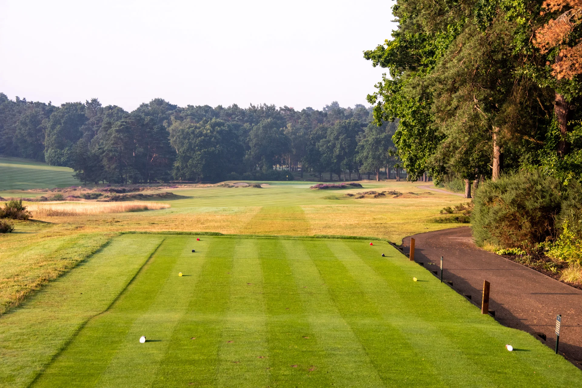 Sunningdale golf clubDSC_9828.jpg