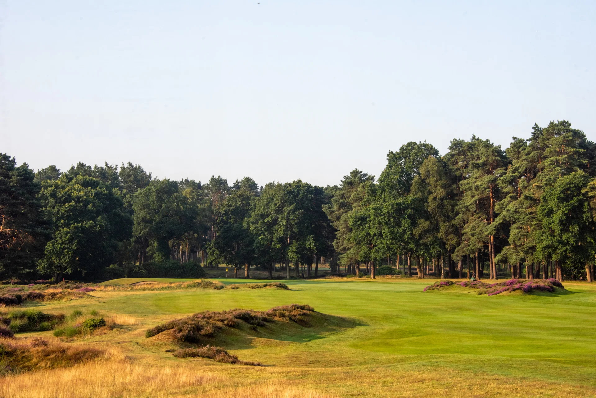 Sunningdale golf clubDSC_9943.jpg