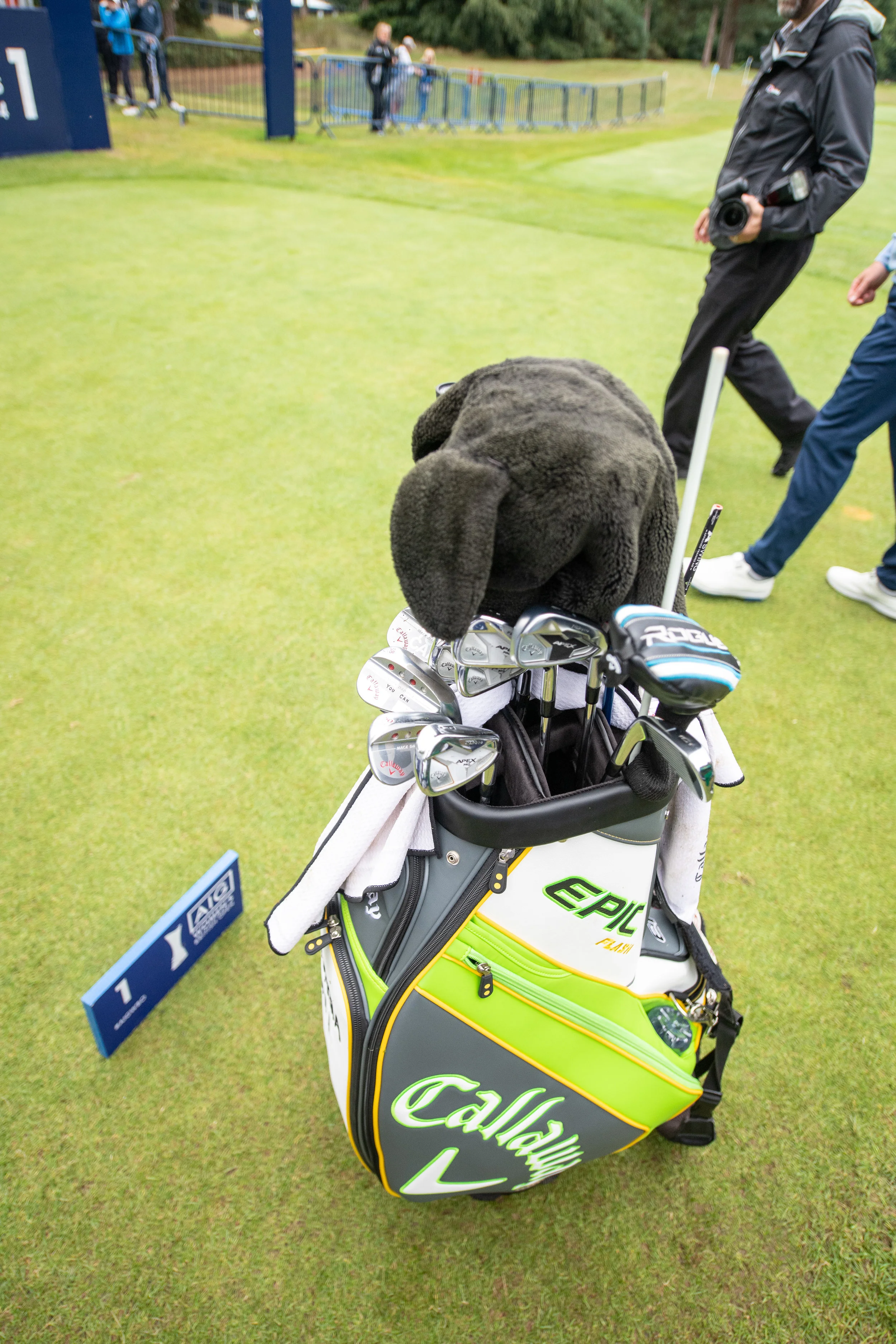 Womens British Open Georgia HallKD1_7831.jpg