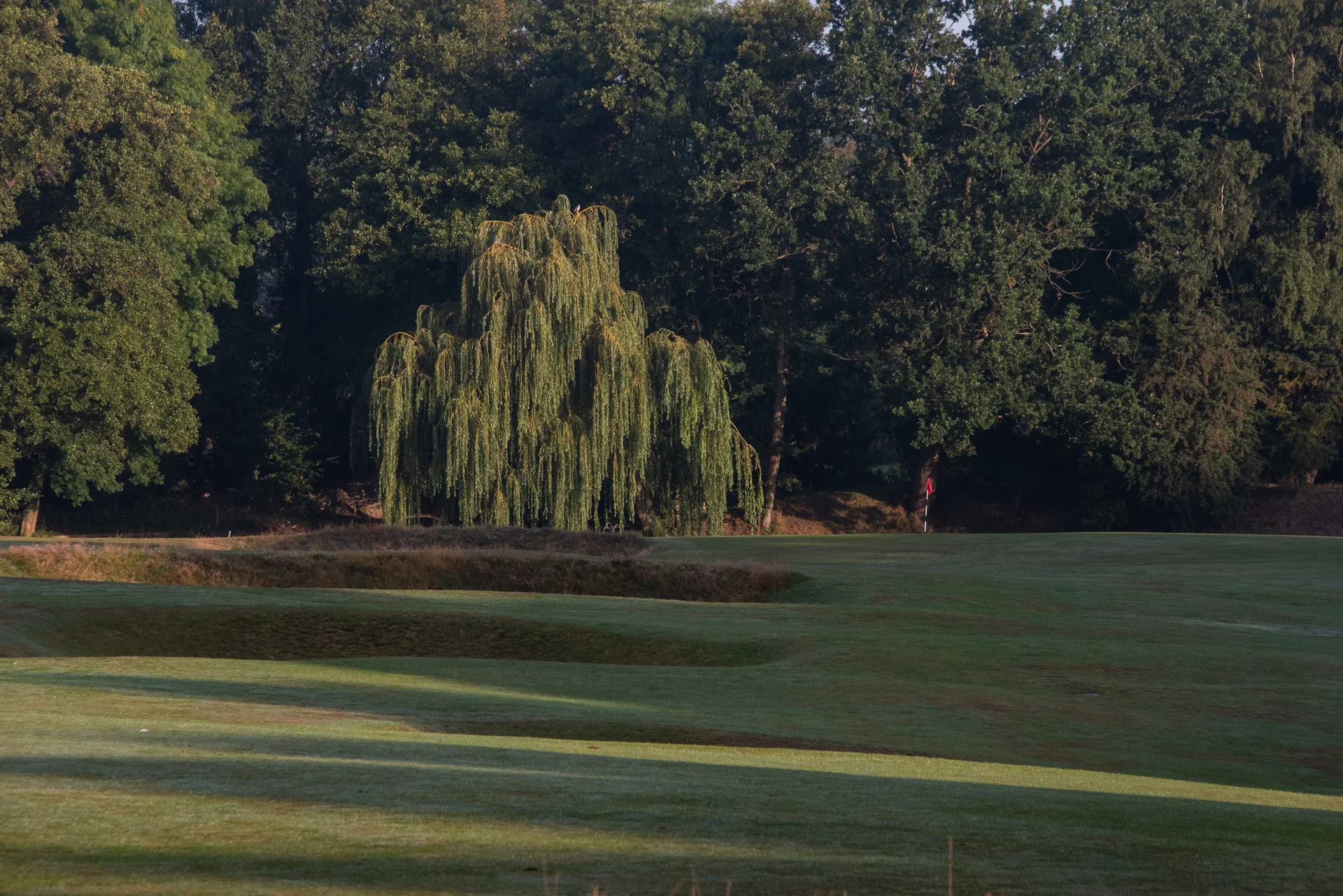 Royal Worlington GCDSC_6651.jpg