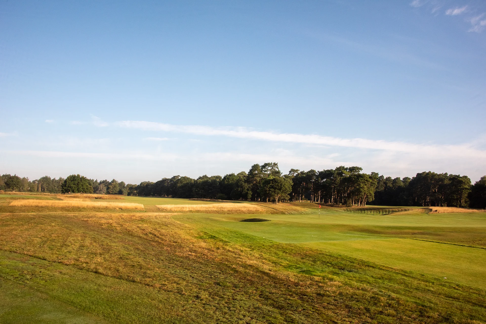 Royal Worlington GCDSC_6741.jpg