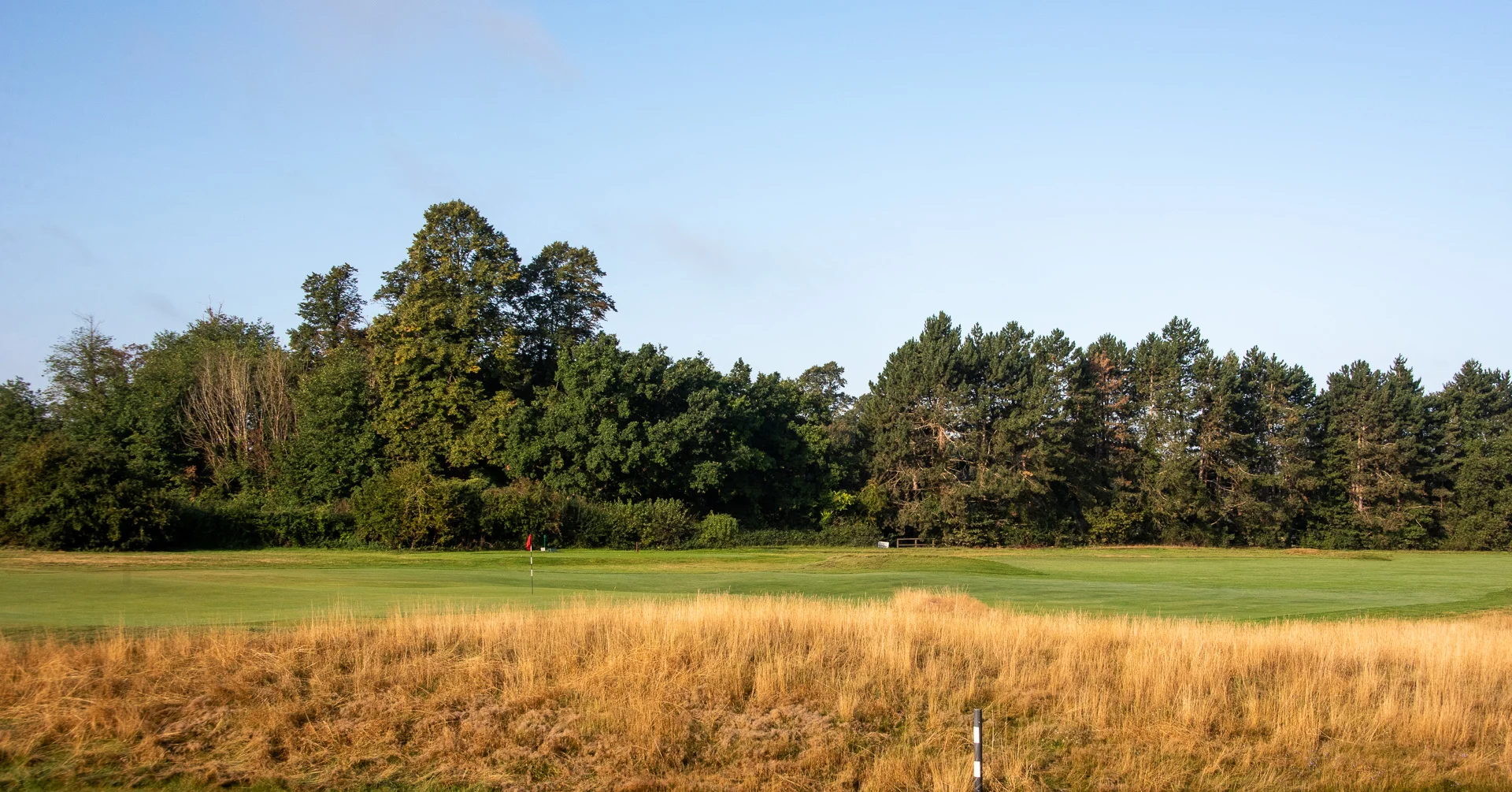 Royal Worlington GCDSC_7171.jpg
