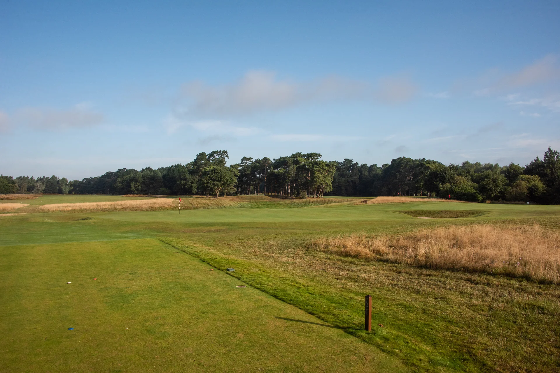 Royal Worlington GCDSC_7272.jpg