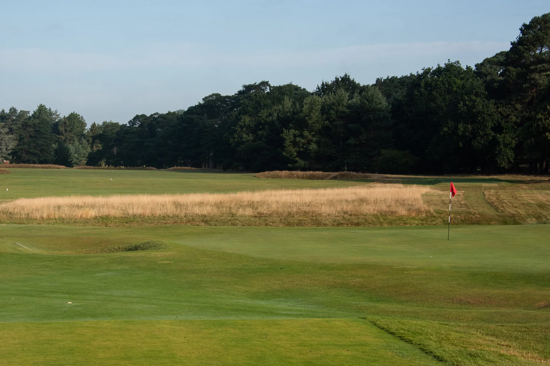 Royal Worlington GCDSC_7277-2.jpg