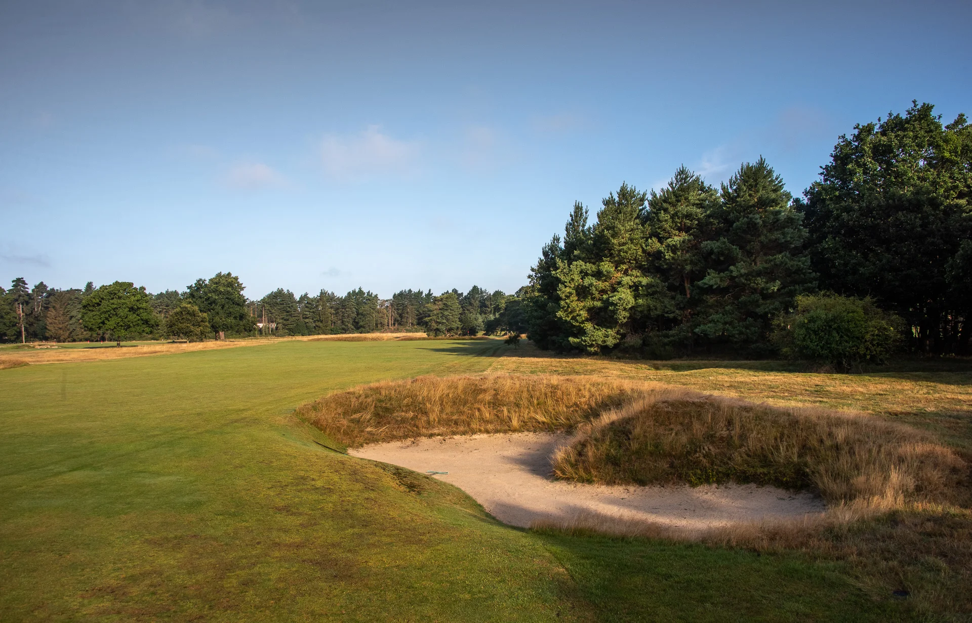 Royal Worlington GCDSC_7383.jpg