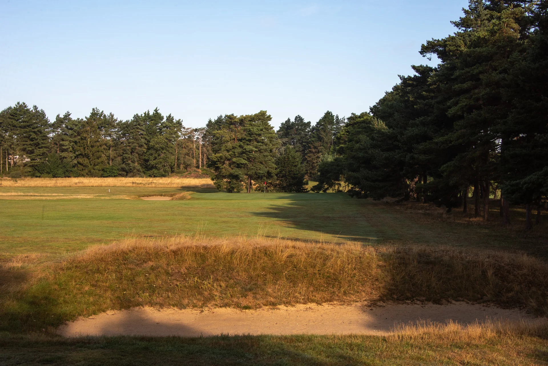 Royal Worlington GCDSC_7433.jpg