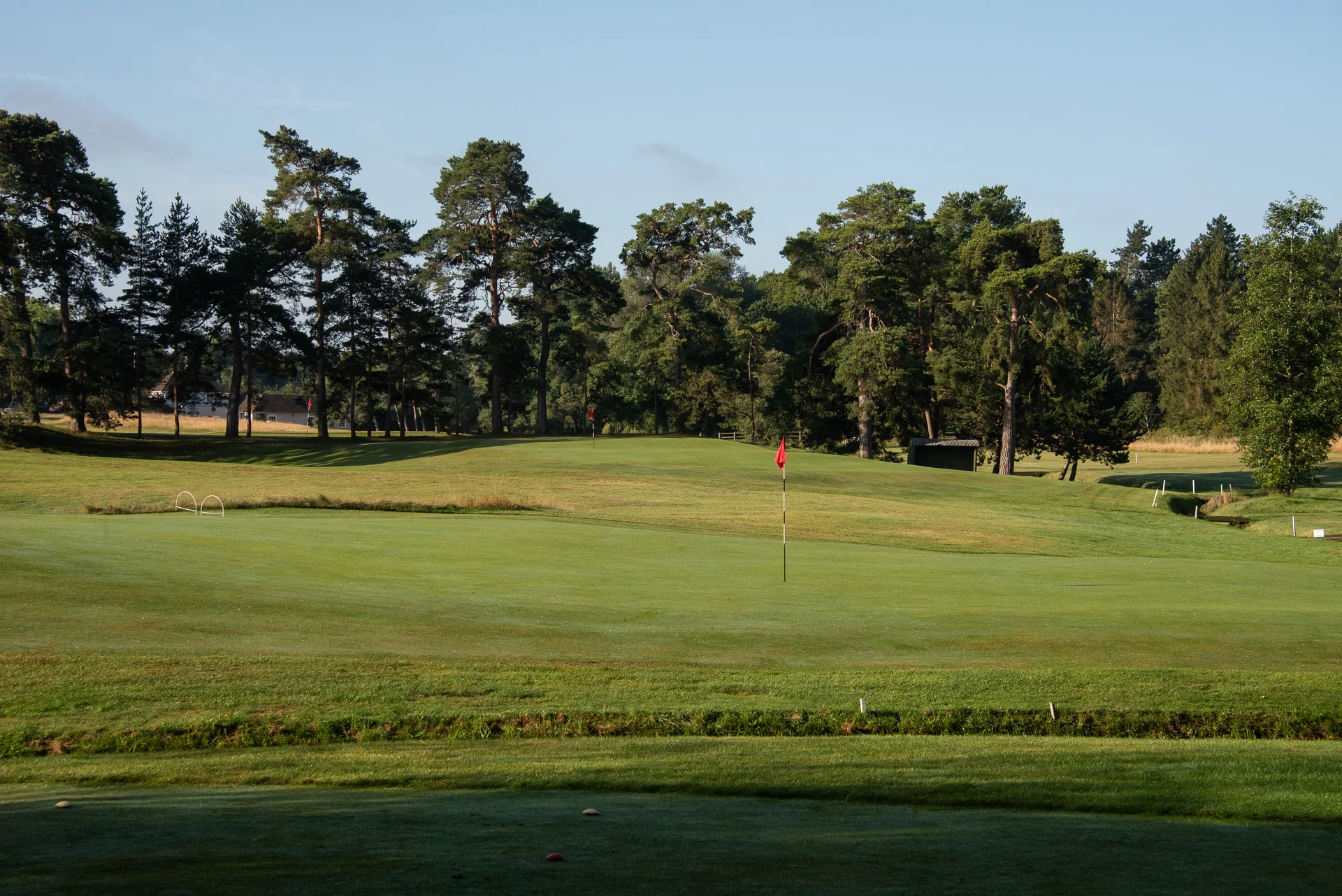 Royal Worlington GCDSC_7530.jpg