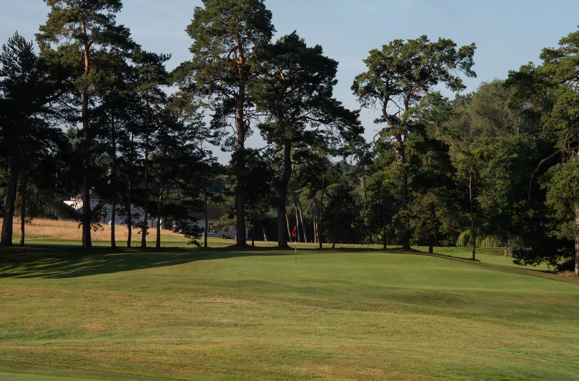 Royal Worlington GCDSC_7550.jpg