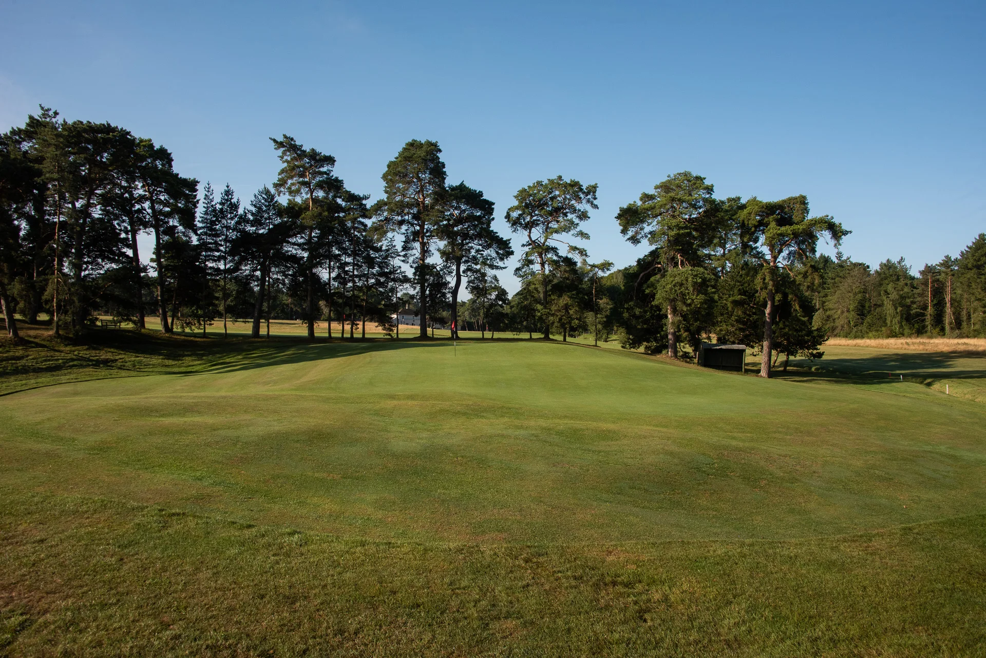 Royal Worlington GCDSC_7555.jpg