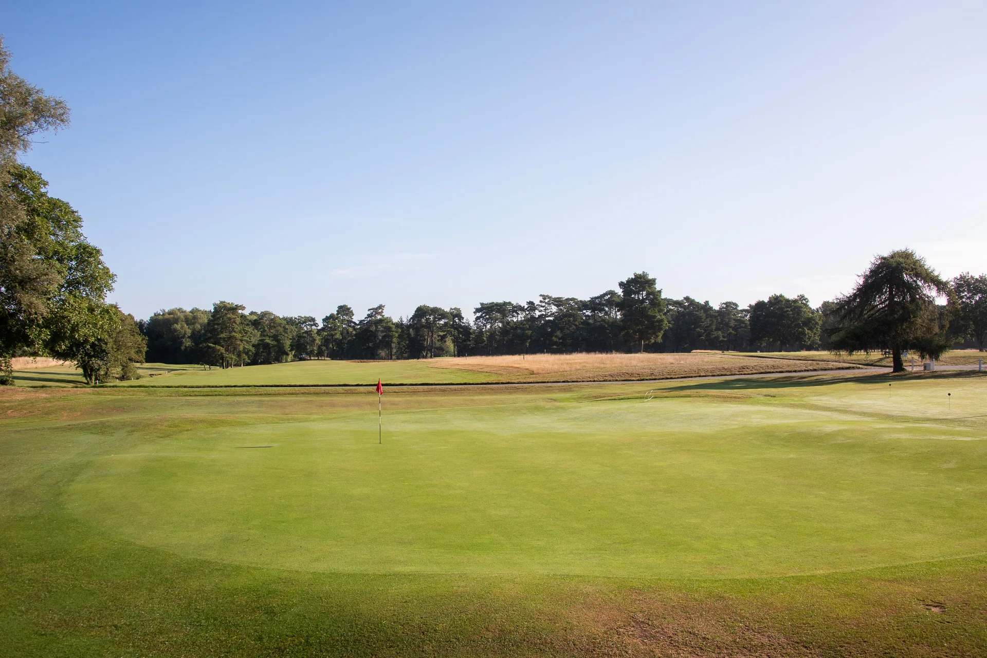 Royal Worlington GCDSC_7924.jpg