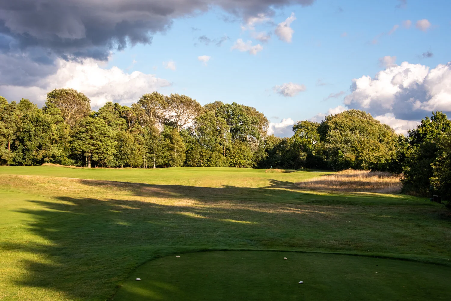 DSC_8338-HDR.jpg