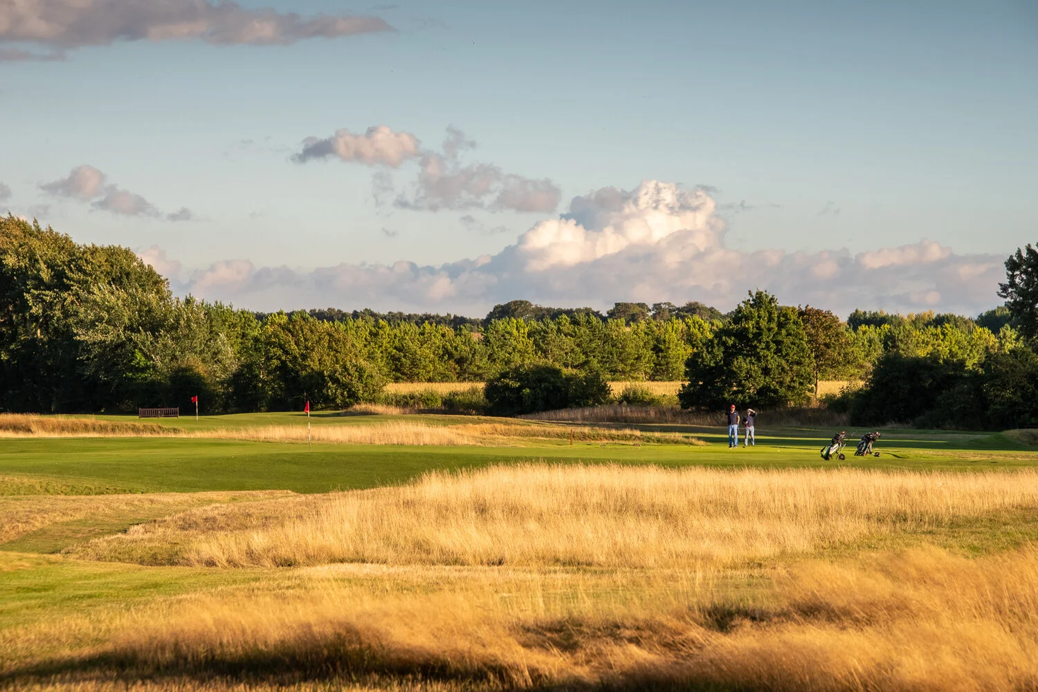 DSC_8482-HDR.jpg