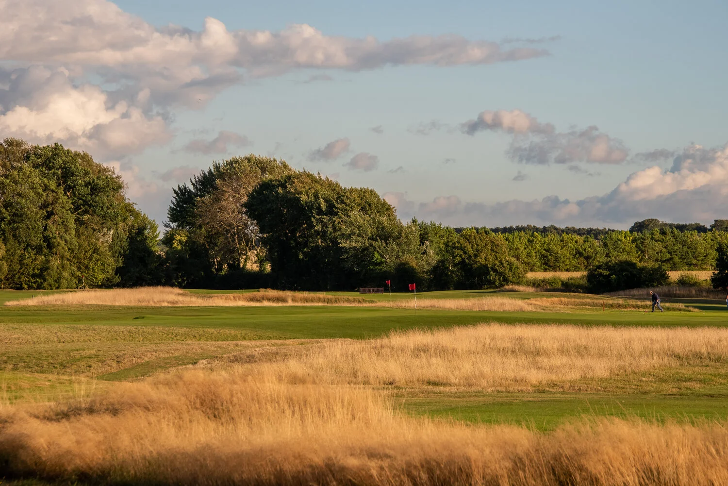 DSC_8497-HDR.jpg