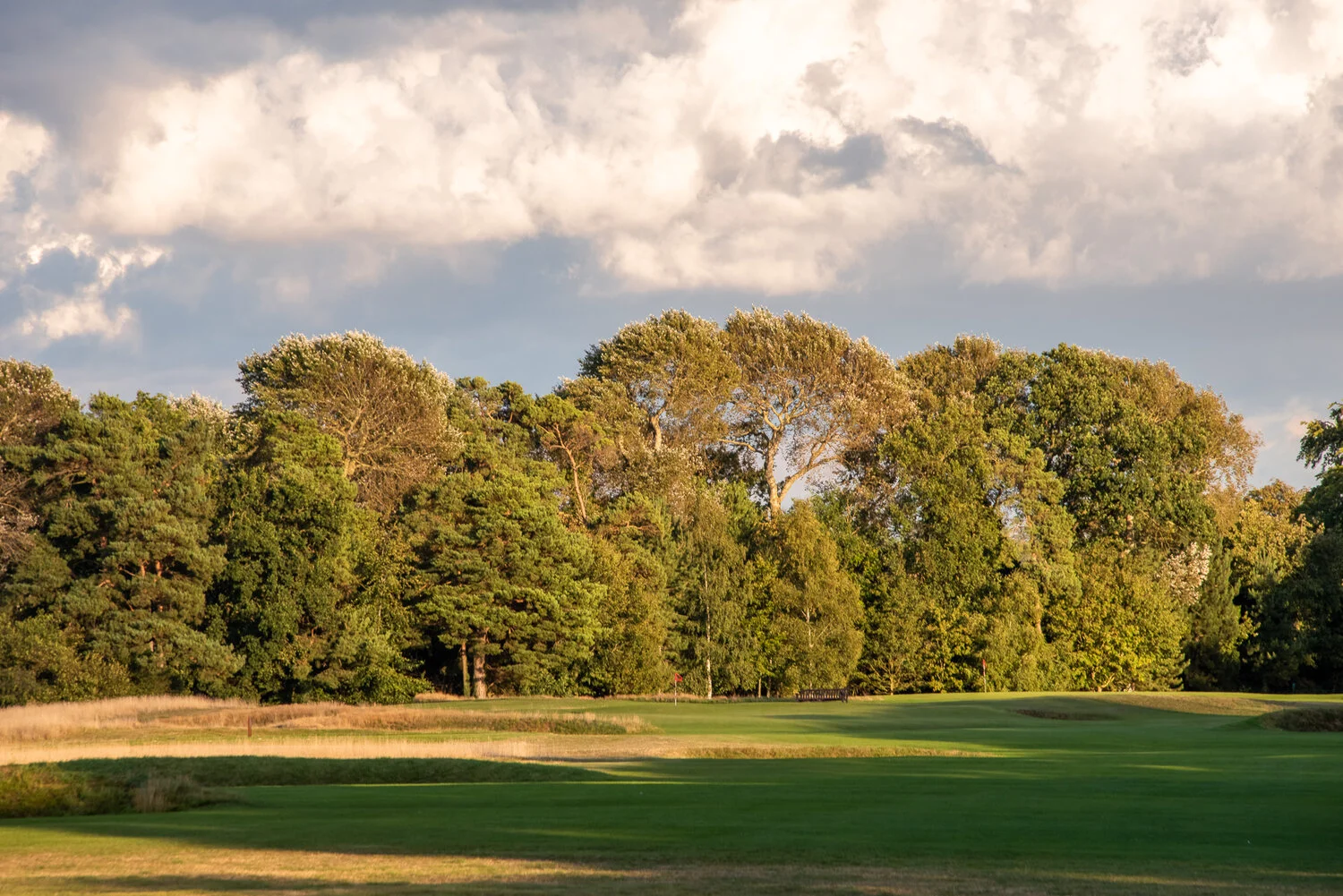DSC_8512-HDR.jpg
