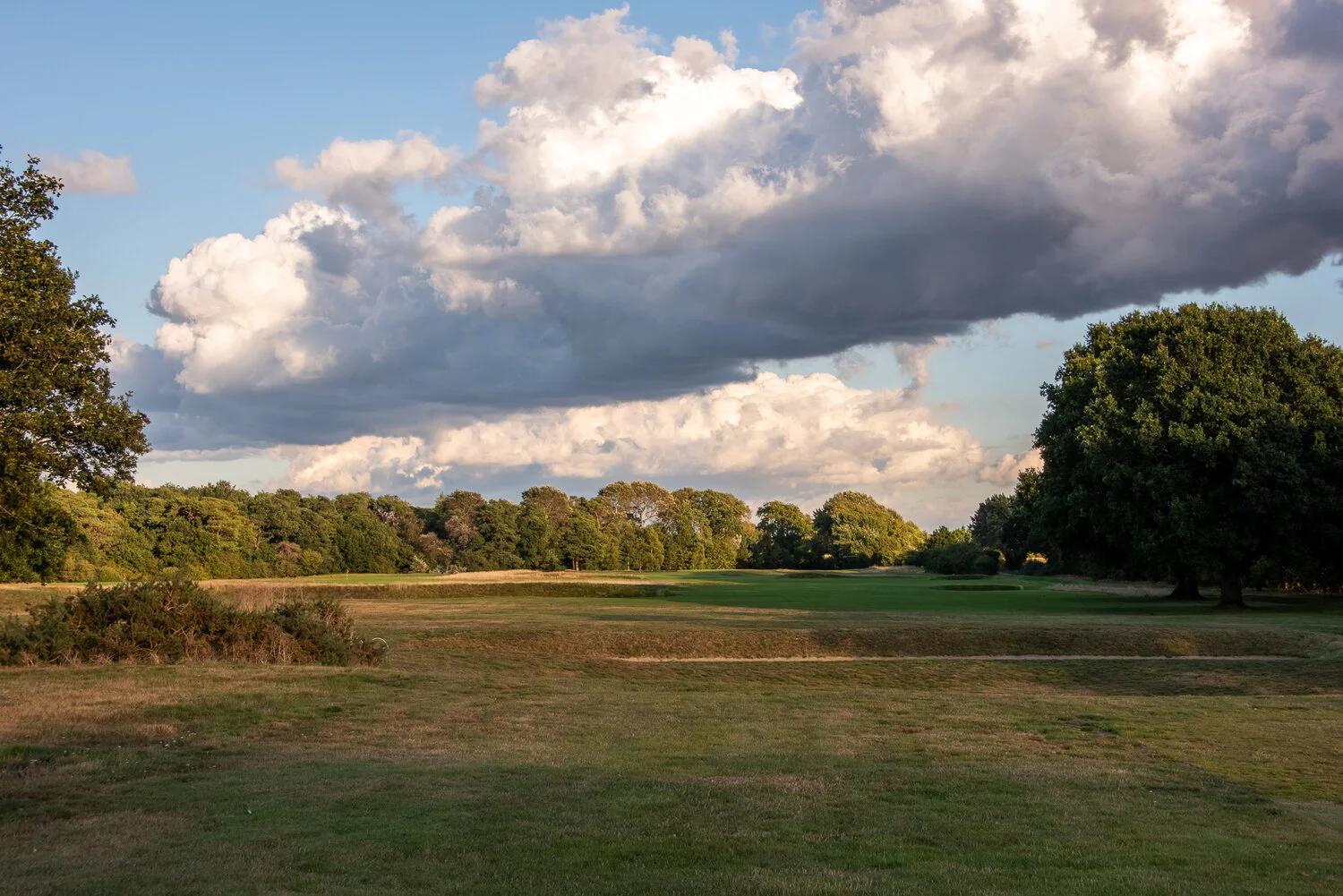 DSC_8517-HDR.jpg