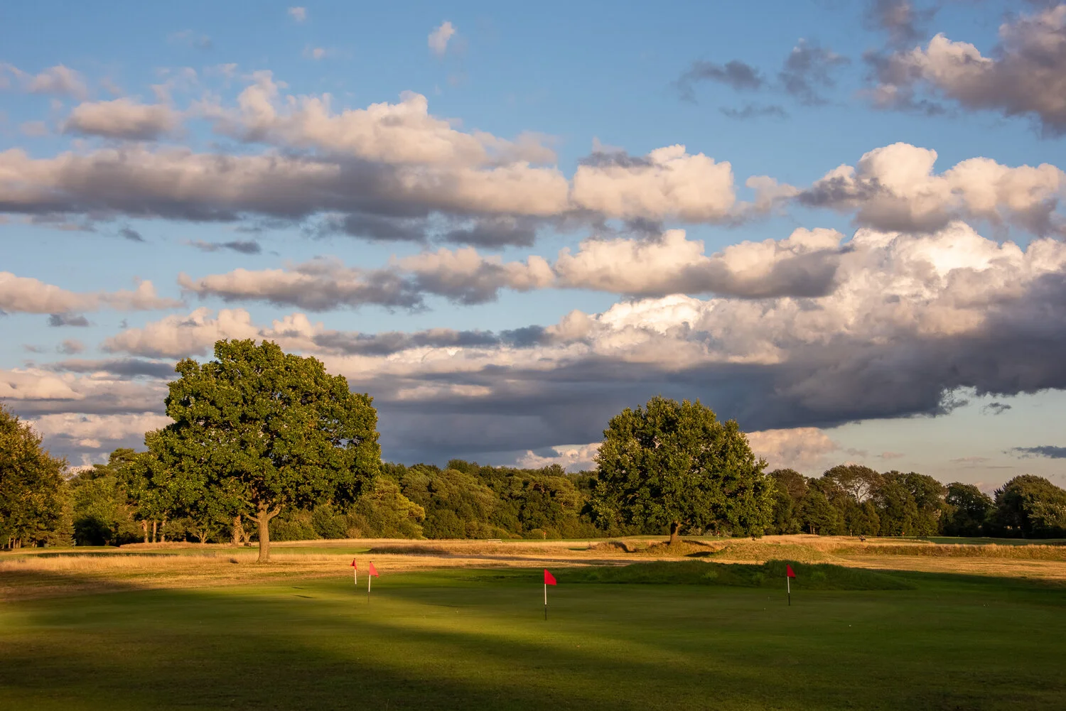 DSC_8682-HDR.jpg