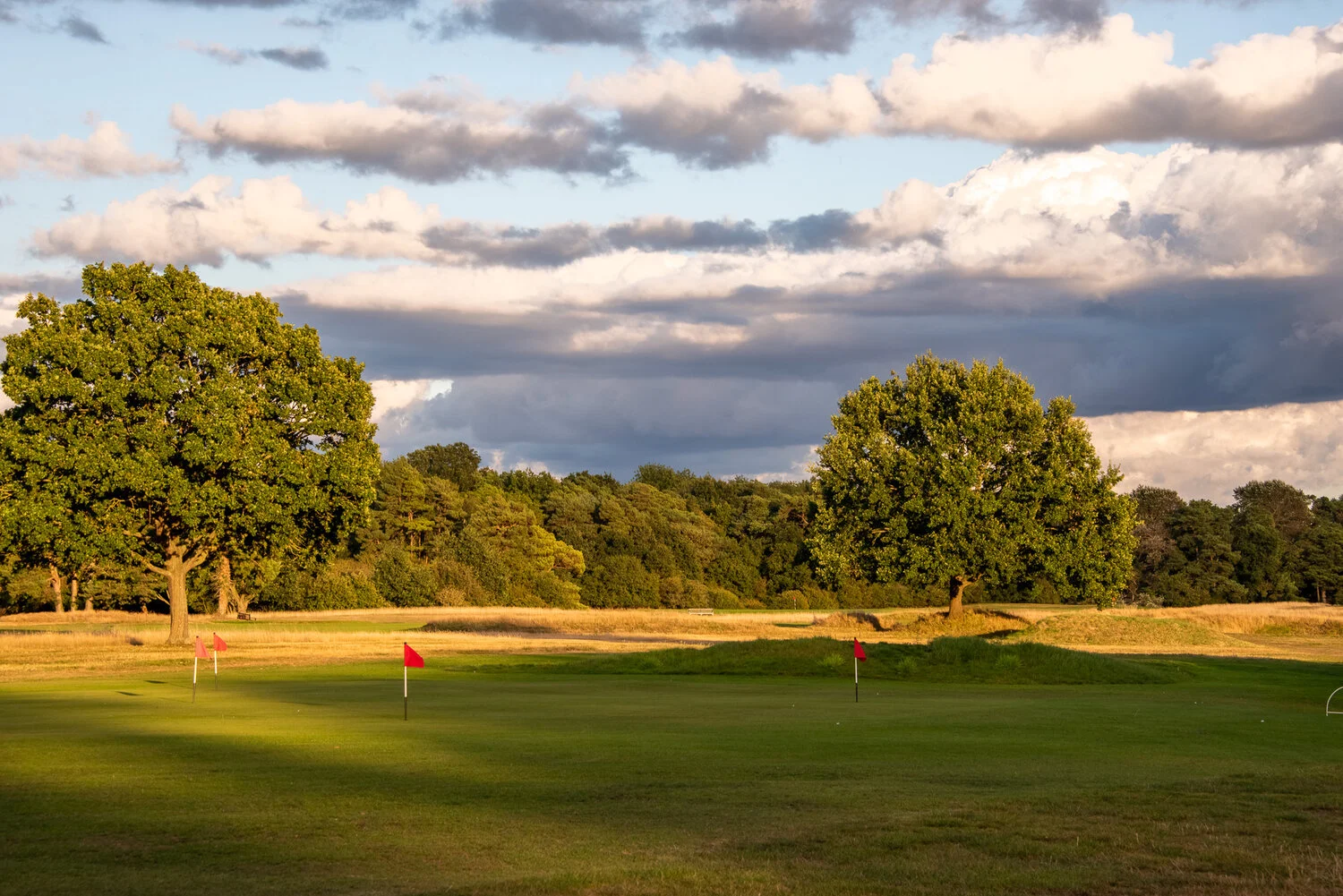 DSC_8677-HDR.jpg