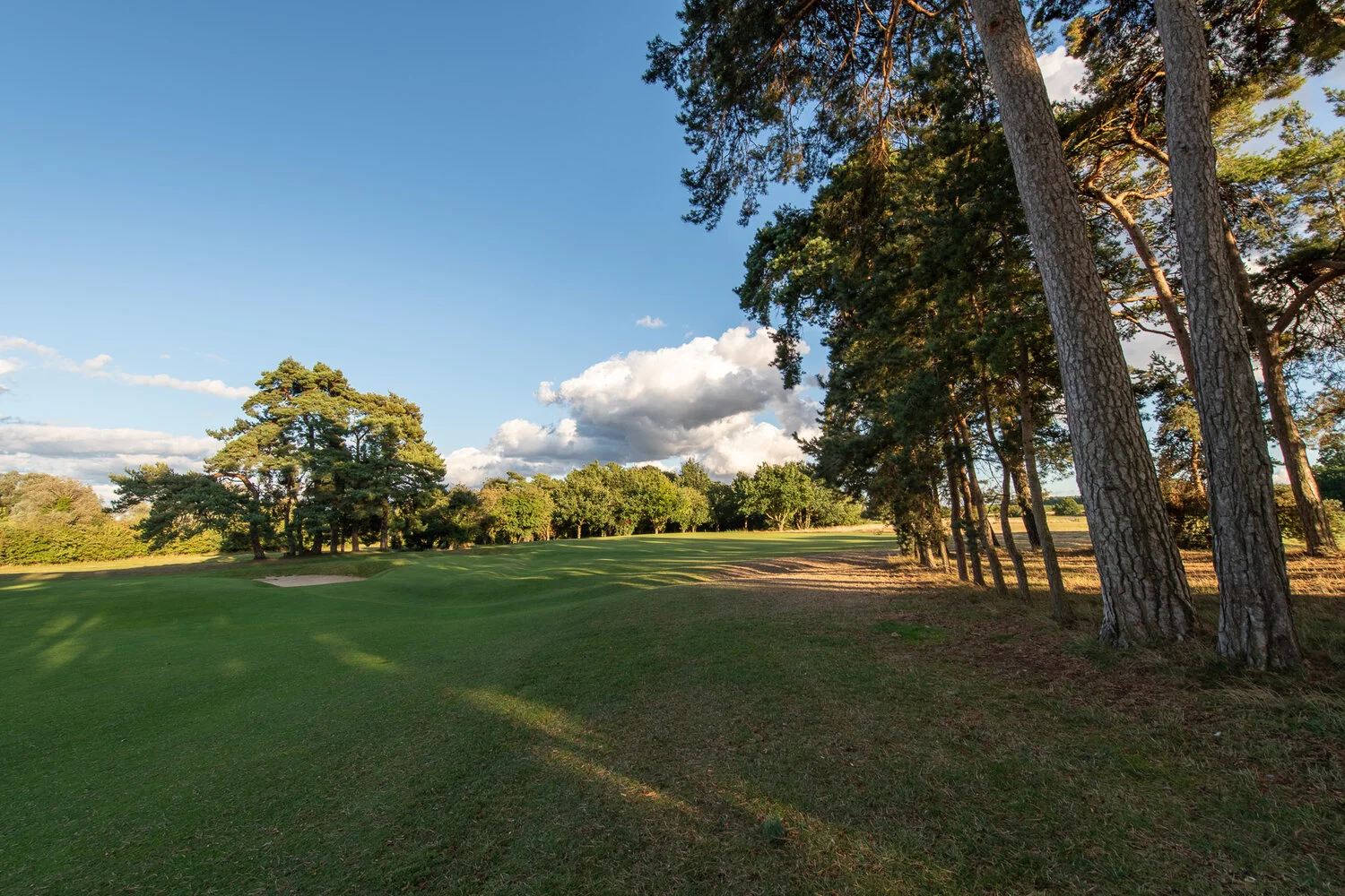 KD1_4095-HDR.jpg