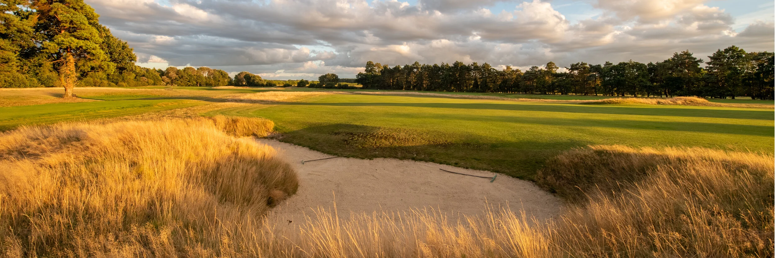 Royal Worlington GC BannerKD1_4320-HDR.jpg