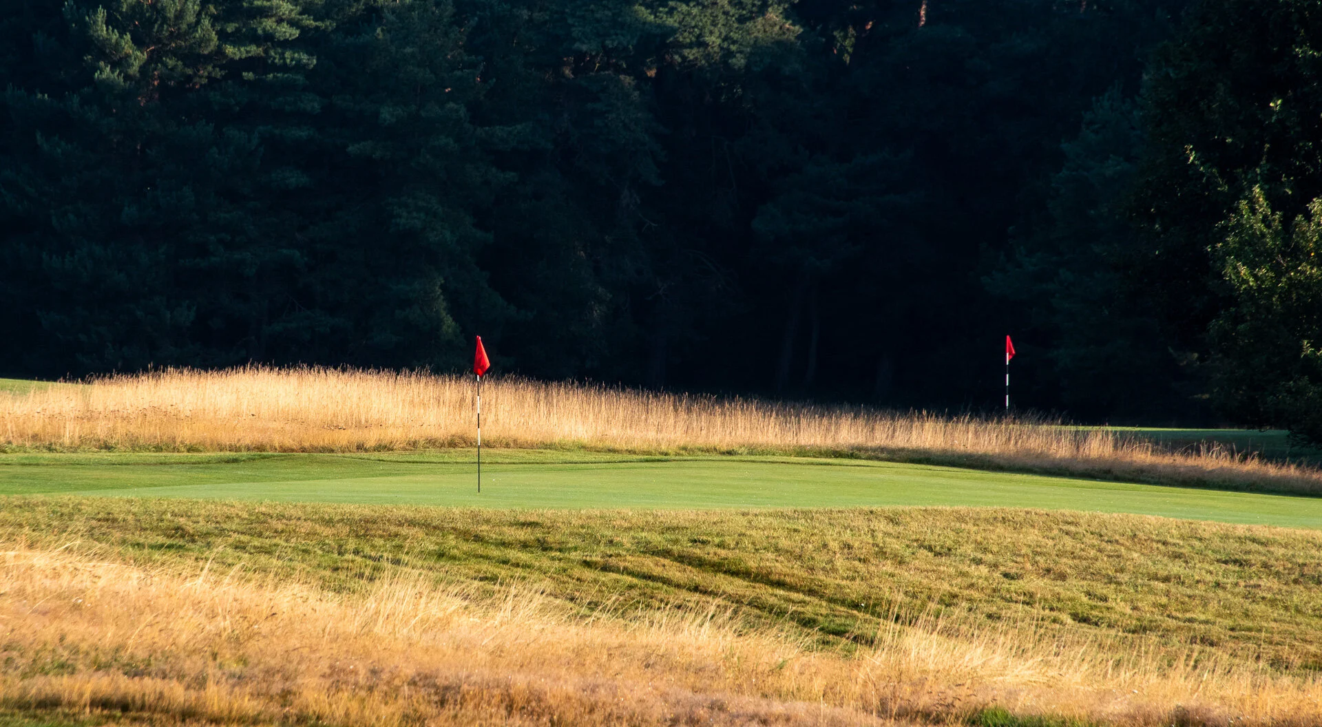 Royal Worlington GC 1920DSC_6889-2.jpg