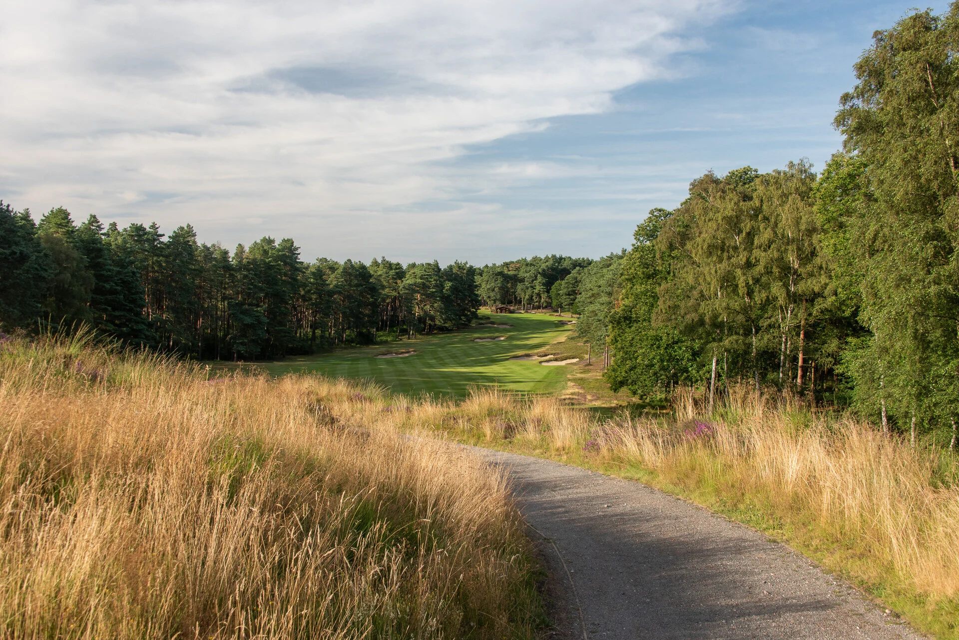 DSC_2755.jpg