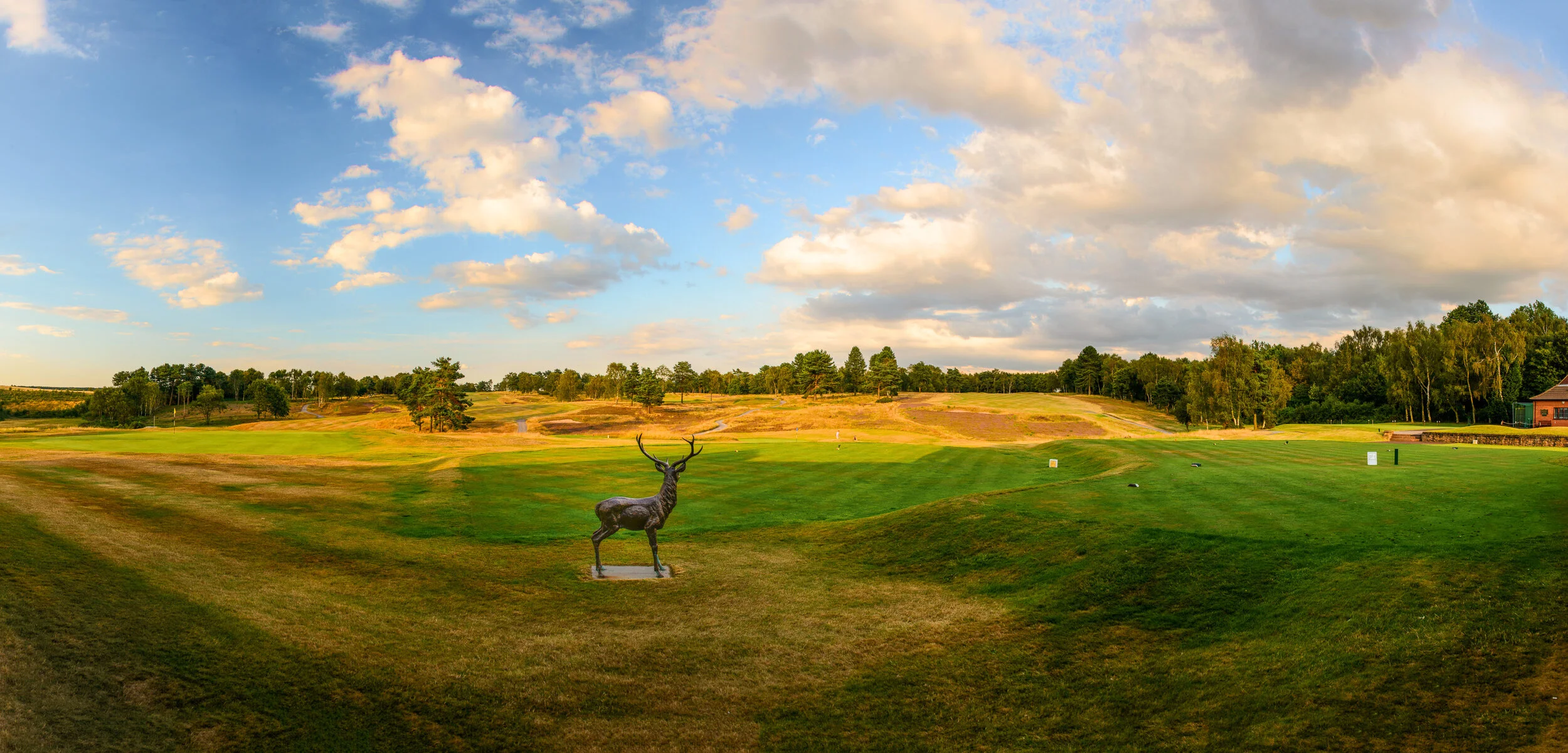 Sherwood Forrest GC -Untitled_Panorama1-Edit.jpg