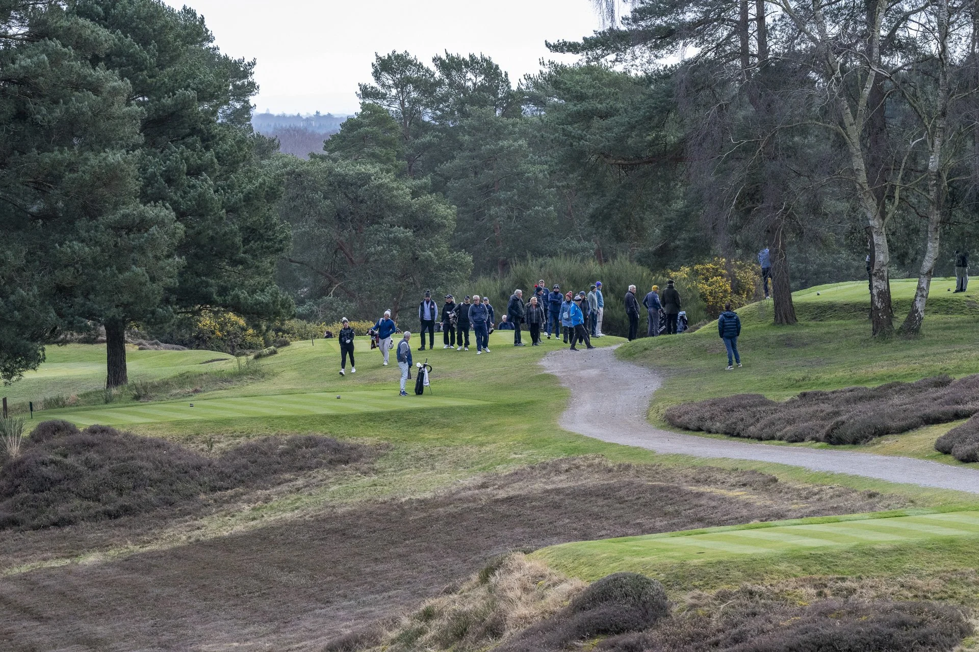 Sunningdale Foursomes 2025-8114.jpg