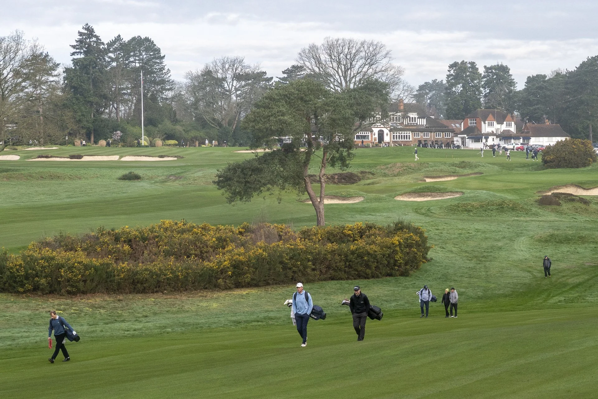 Sunningdale foursomes 2026 Tuesday-4549.jpg