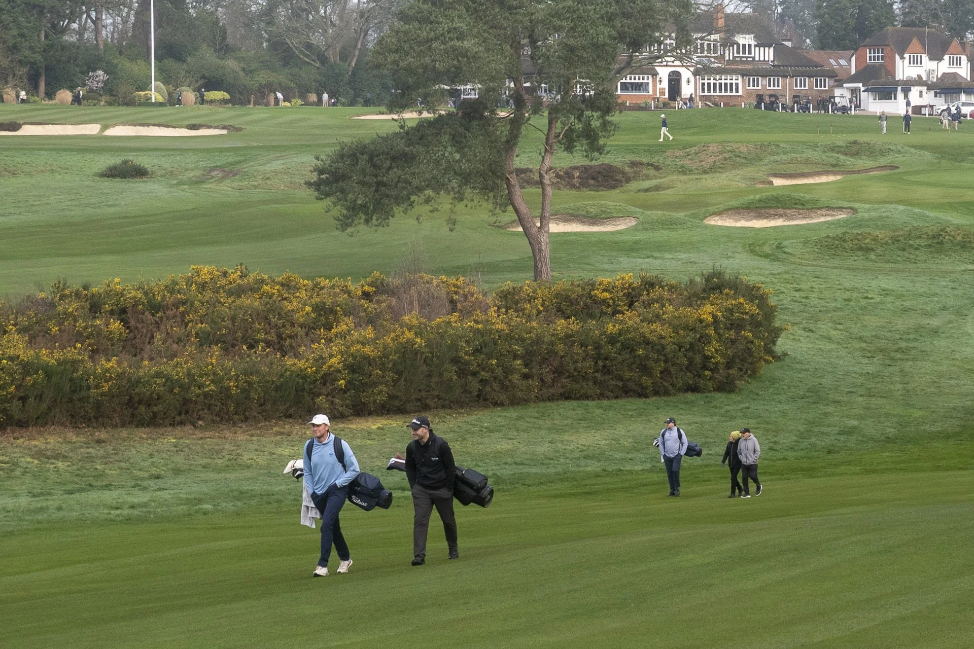 Sunningdale foursomes 2026 Tuesday-4551.jpg