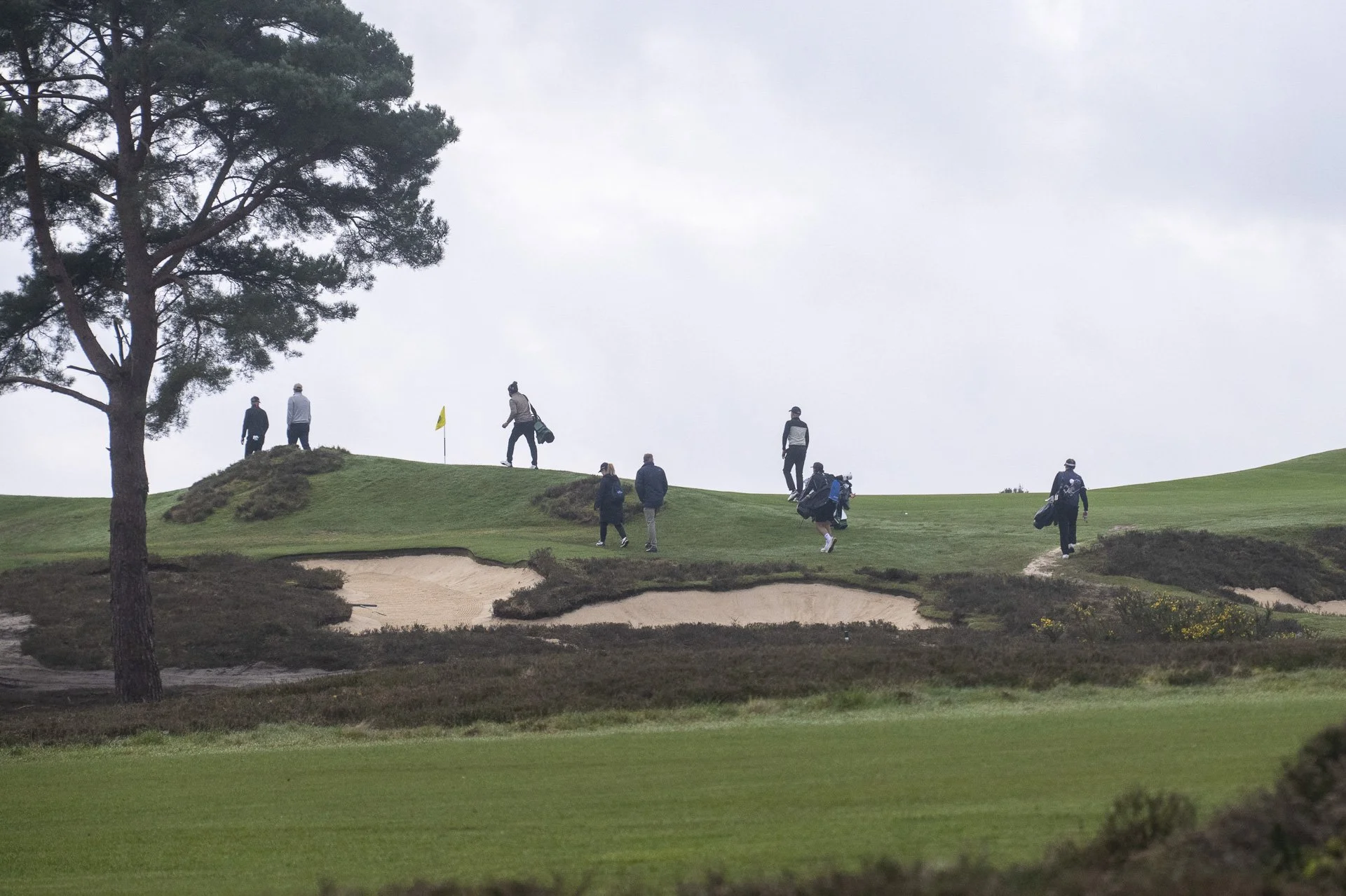 Sunningdale foursomes 2026 Tuesday-7961.jpg