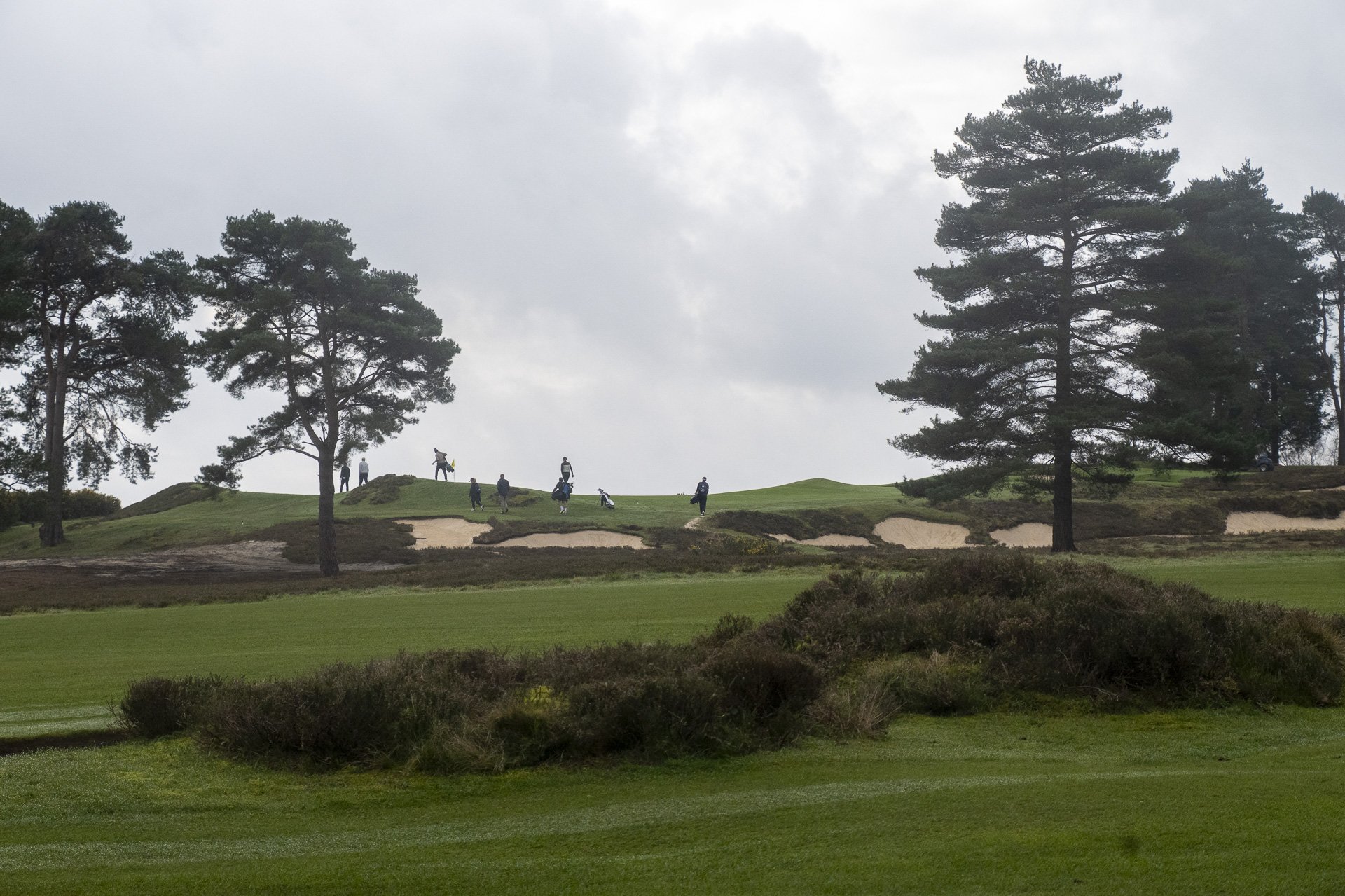 Sunningdale foursomes 2026 Tuesday-7963.jpg