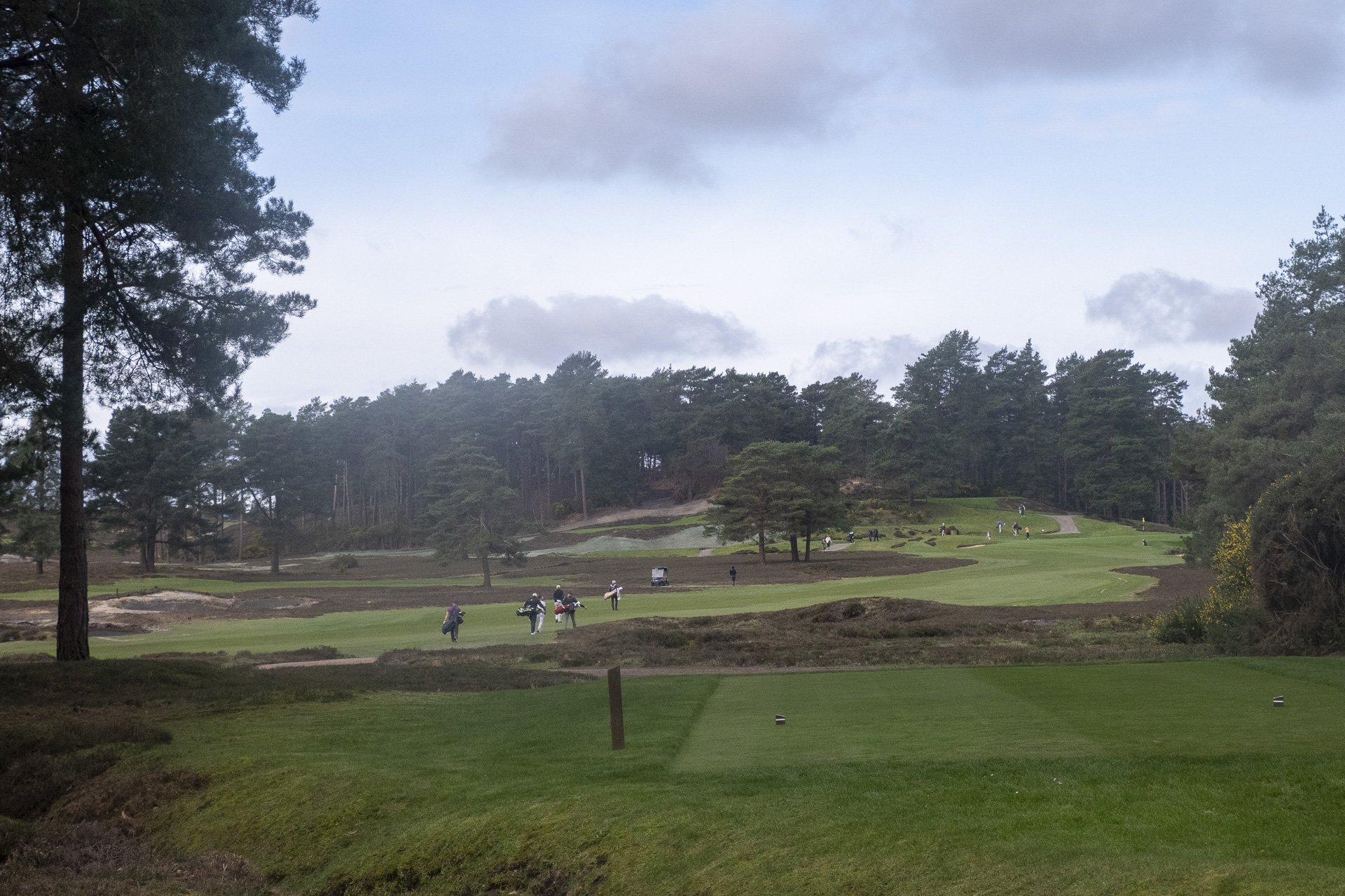 Sunningdale foursomes 2026 Tuesday-8089.jpg