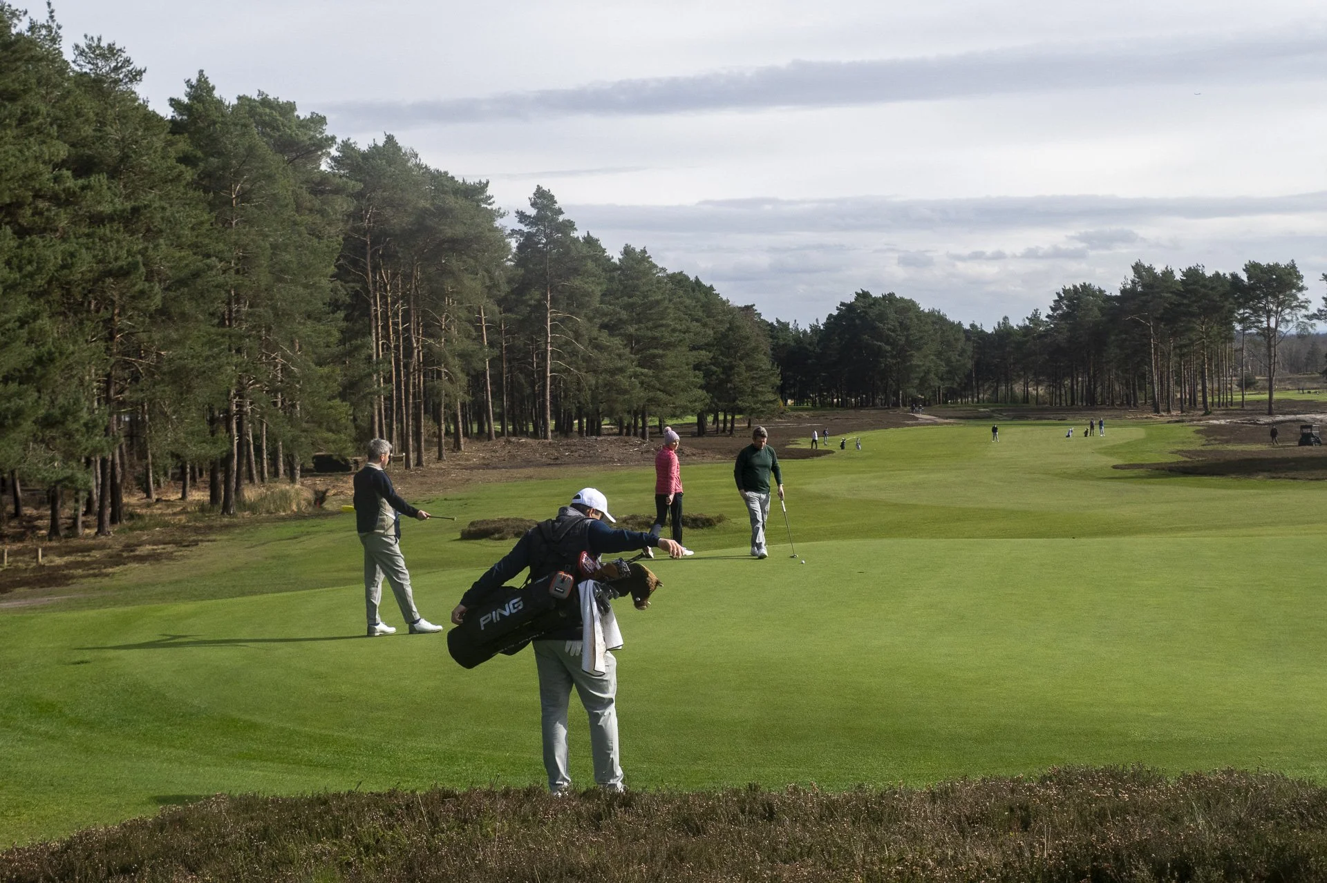 Sunningdale foursomes 2026 Tuesday-8410.jpg
