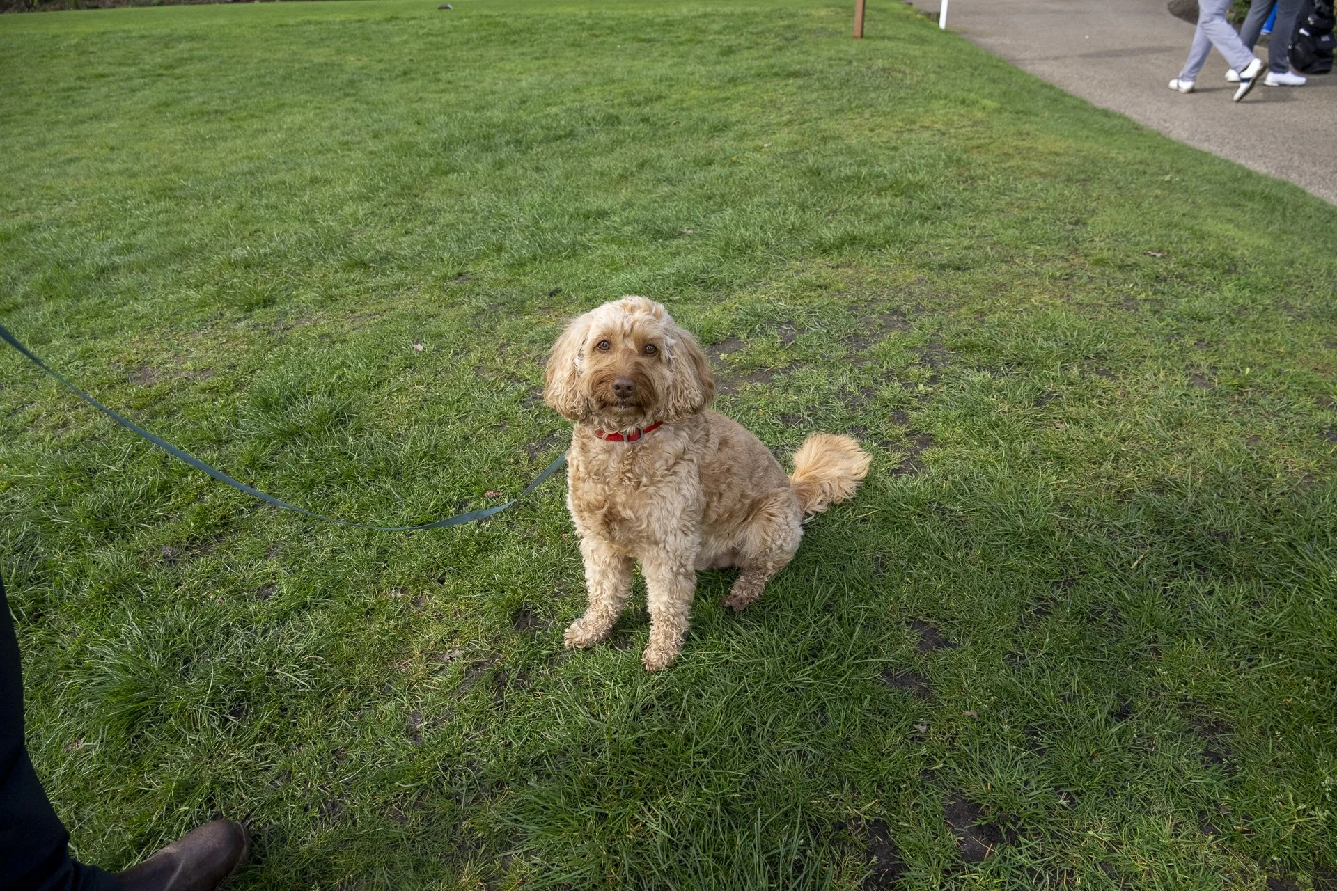 Sunningdale foursomes 2026 Tuesday-5618.jpg