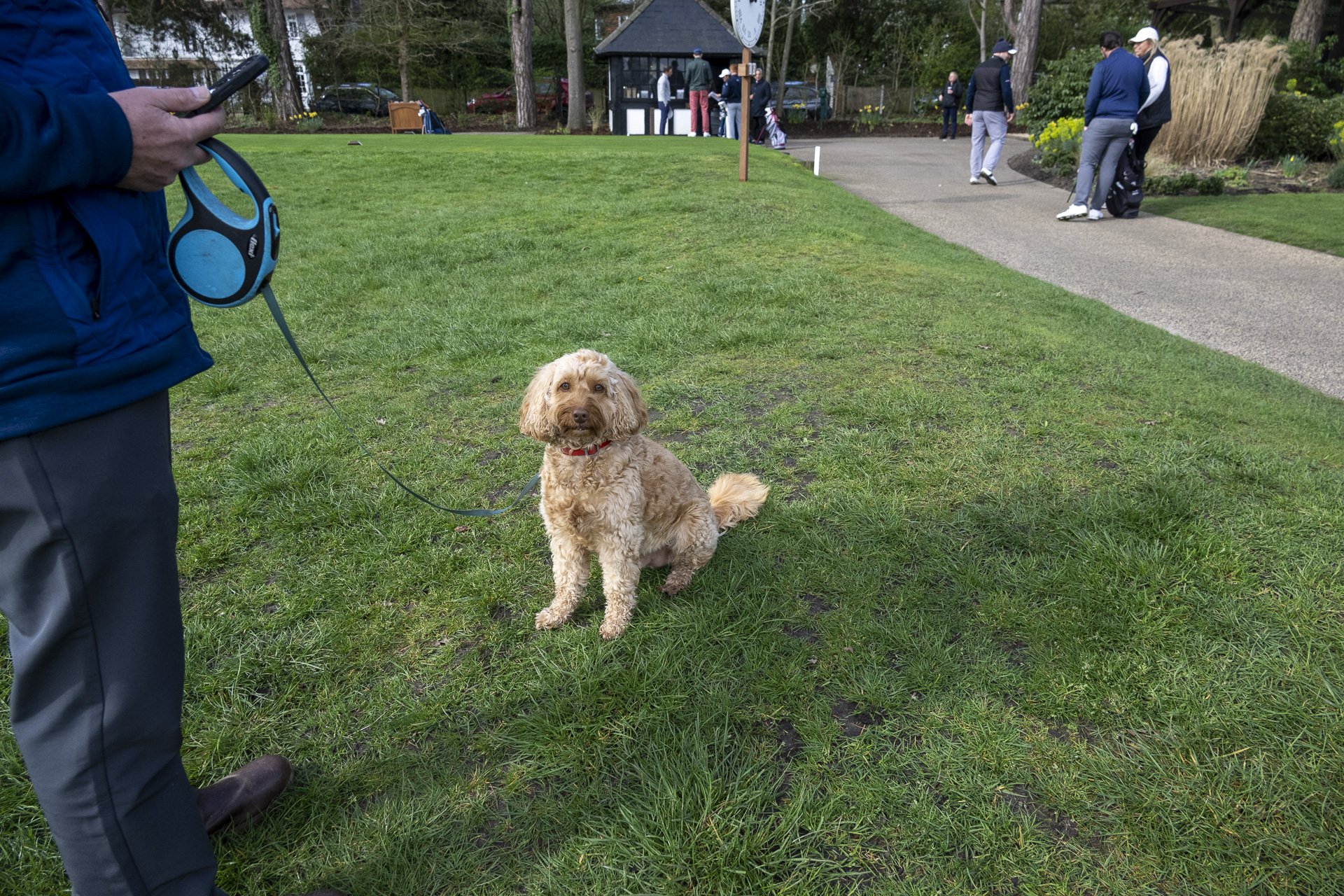 Sunningdale foursomes 2026 Tuesday-5633.jpg