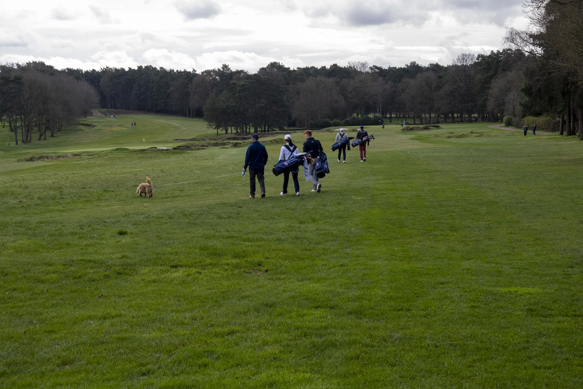 Sunningdale foursomes 2026 Tuesday-5780.jpg