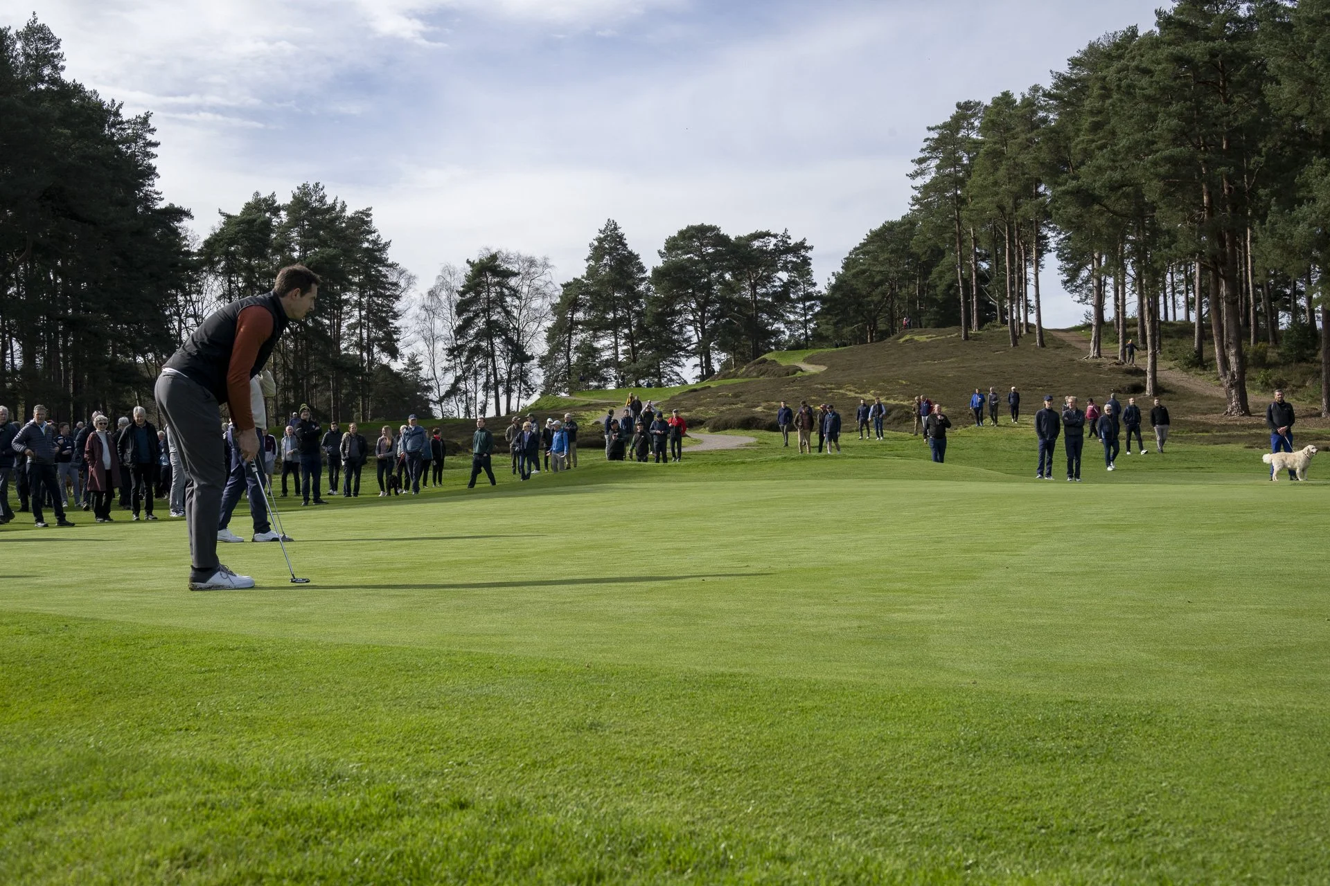 Sunningdale foursomes 2026 Tuesday-5805.jpg