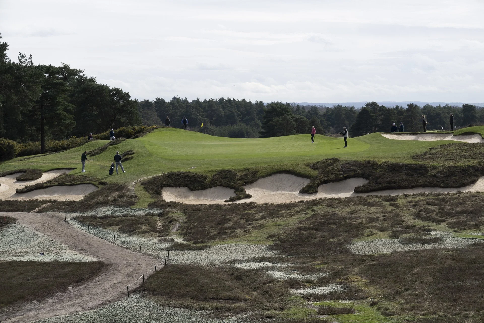 Sunningdale foursomes 2026 Tuesday-6062.jpg