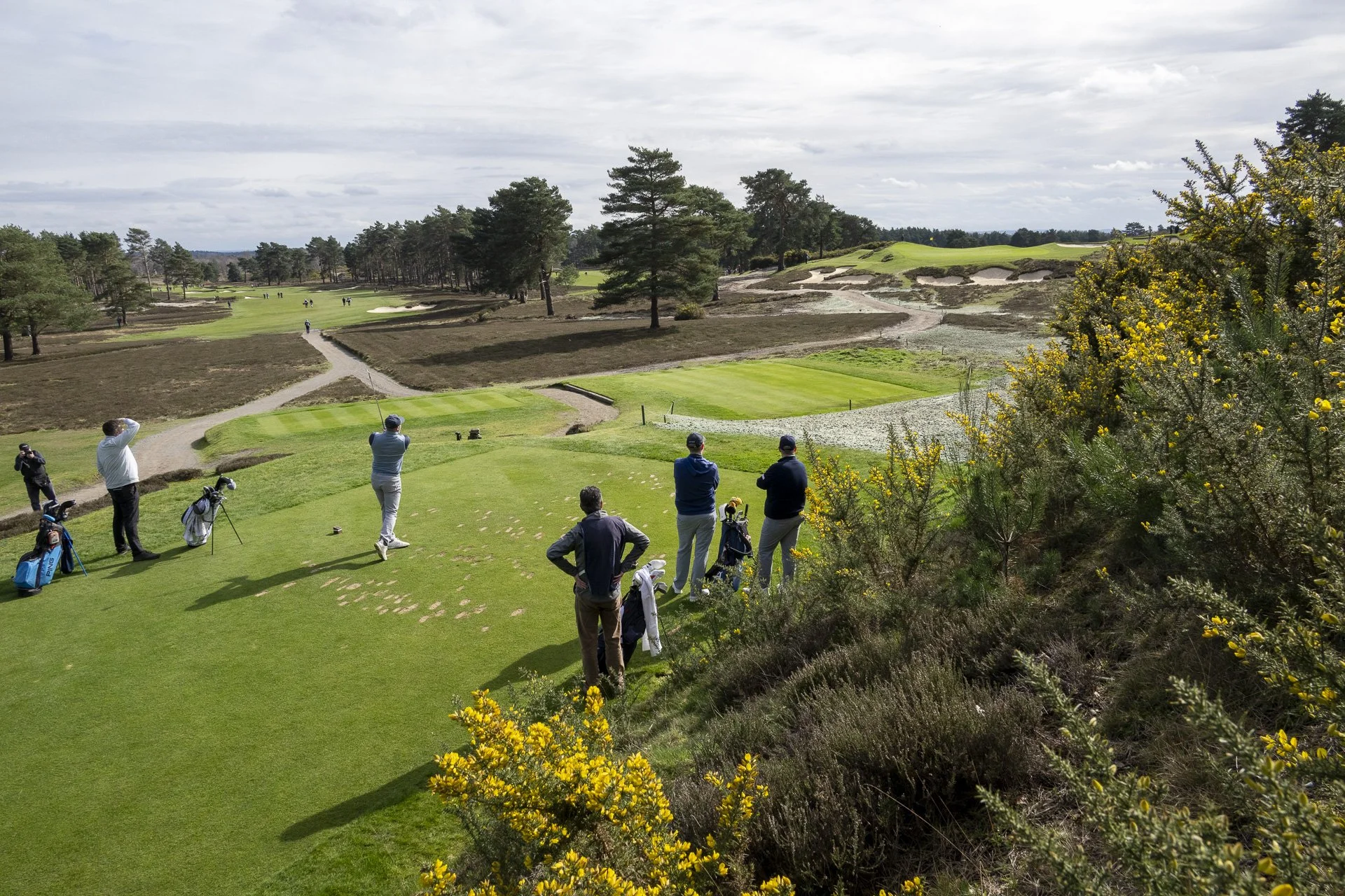 Sunningdale foursomes 2026 Tuesday-6098.jpg