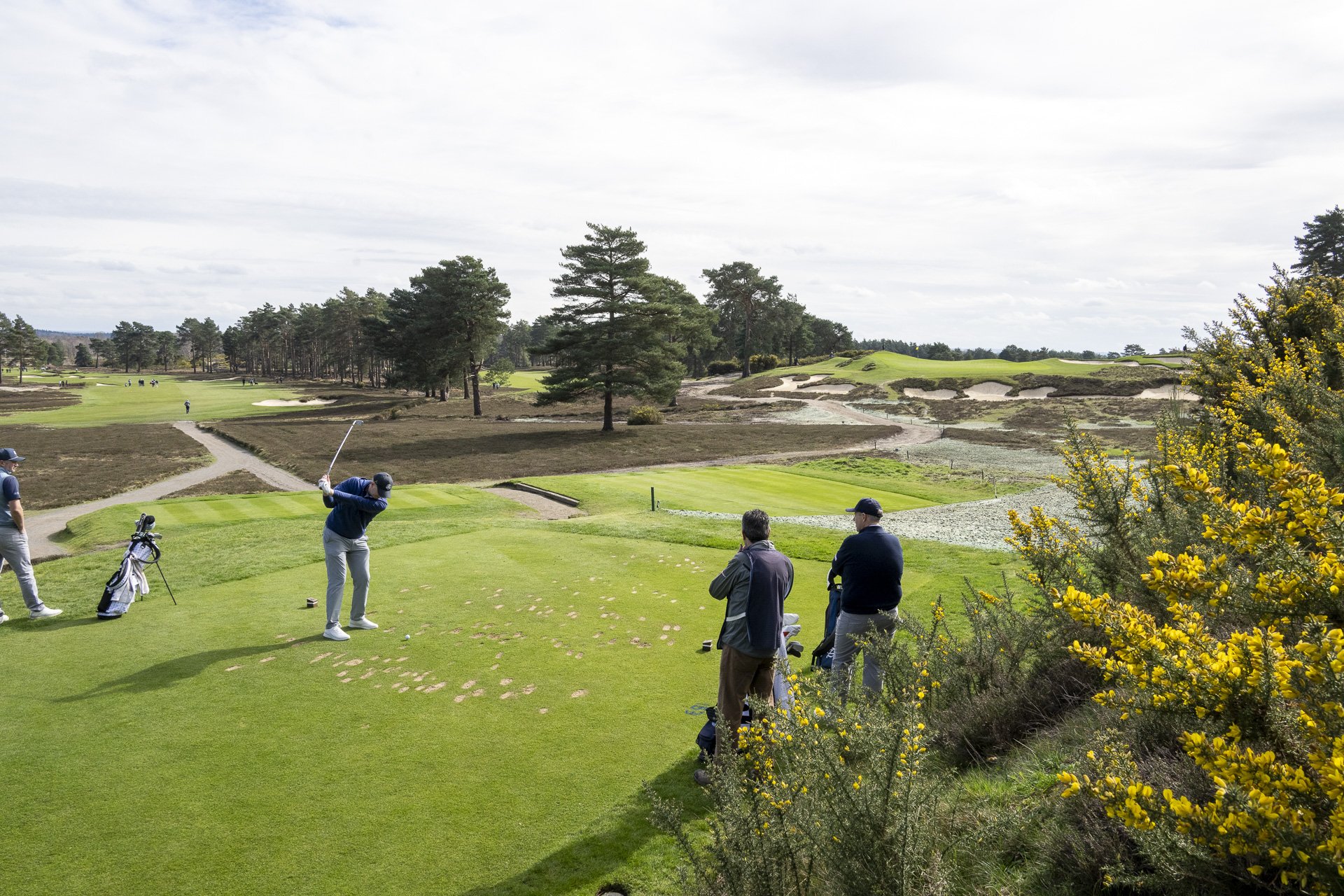 Sunningdale foursomes 2026 Tuesday-6105.jpg