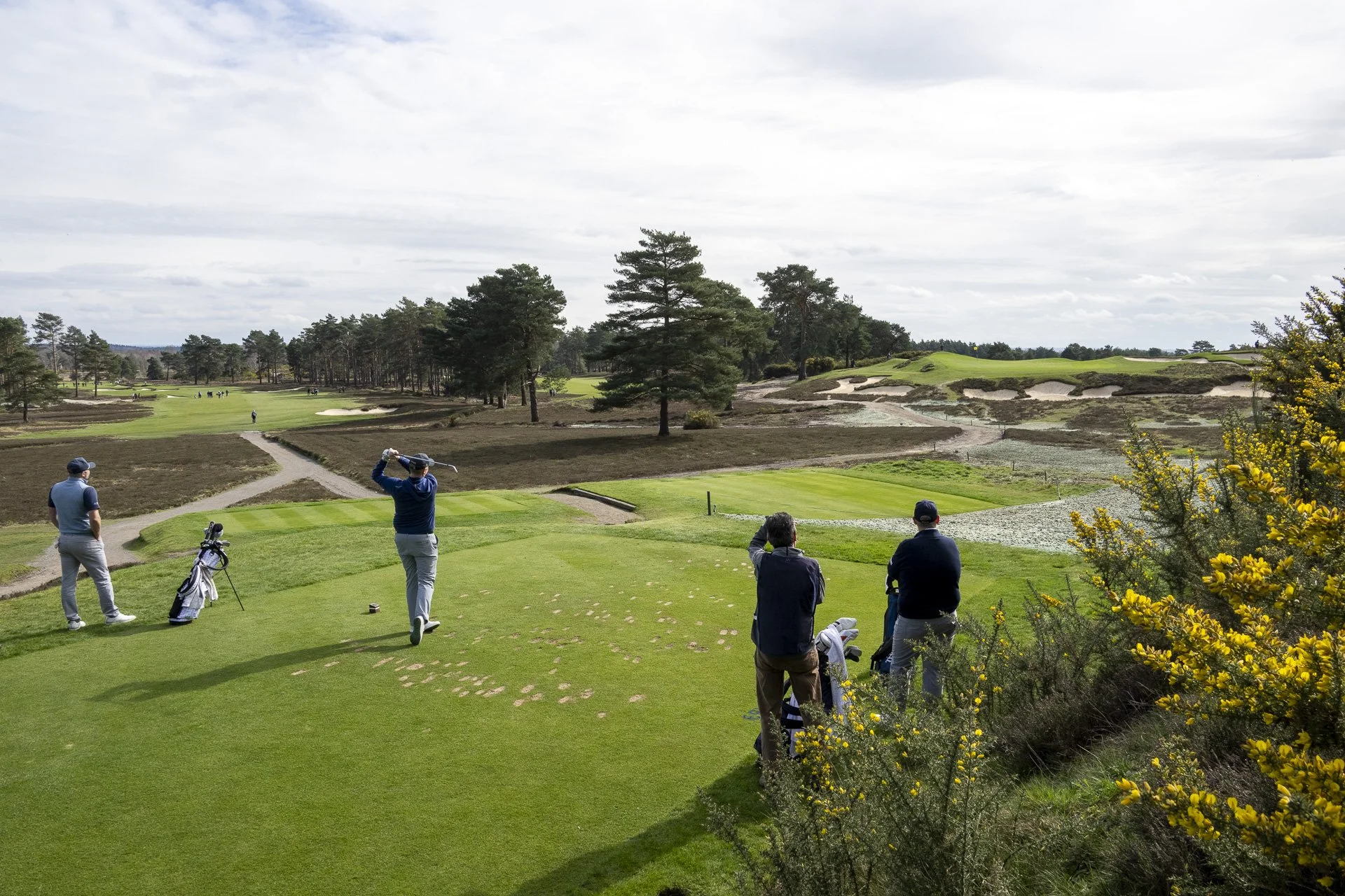Sunningdale foursomes 2026 Tuesday-6126.jpg