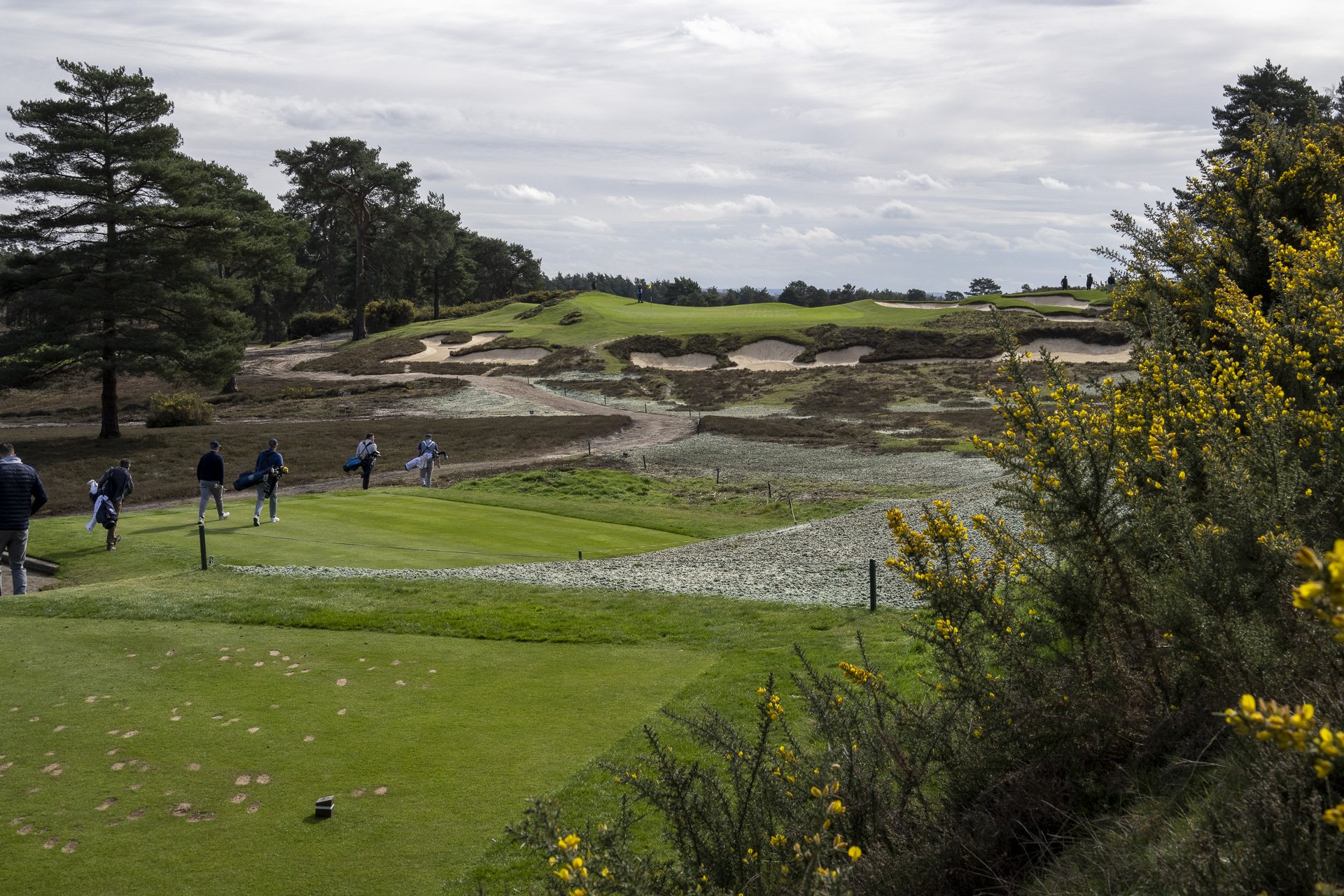 Sunningdale foursomes 2026 Tuesday-6150.jpg