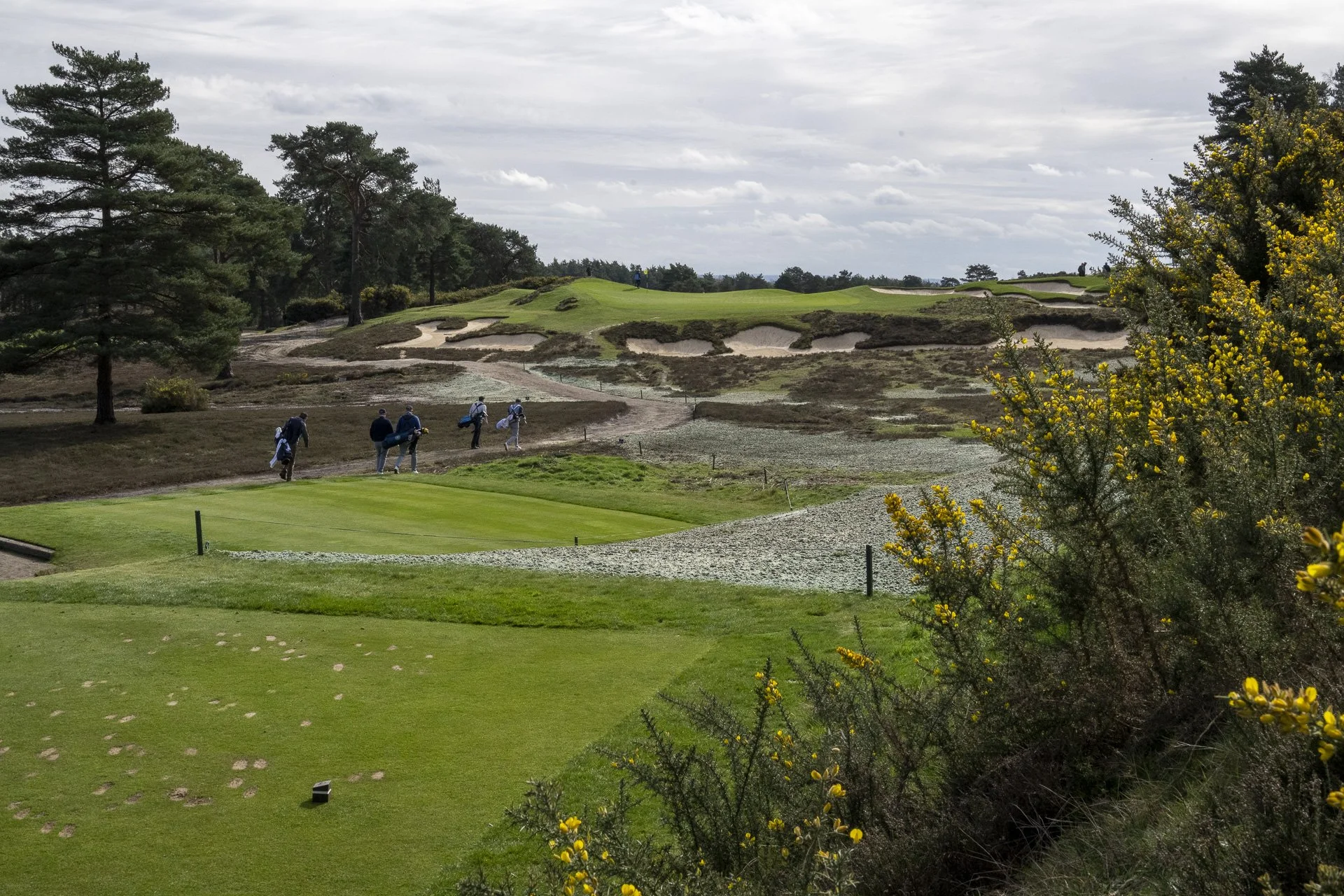 Sunningdale foursomes 2026 Tuesday-6154.jpg