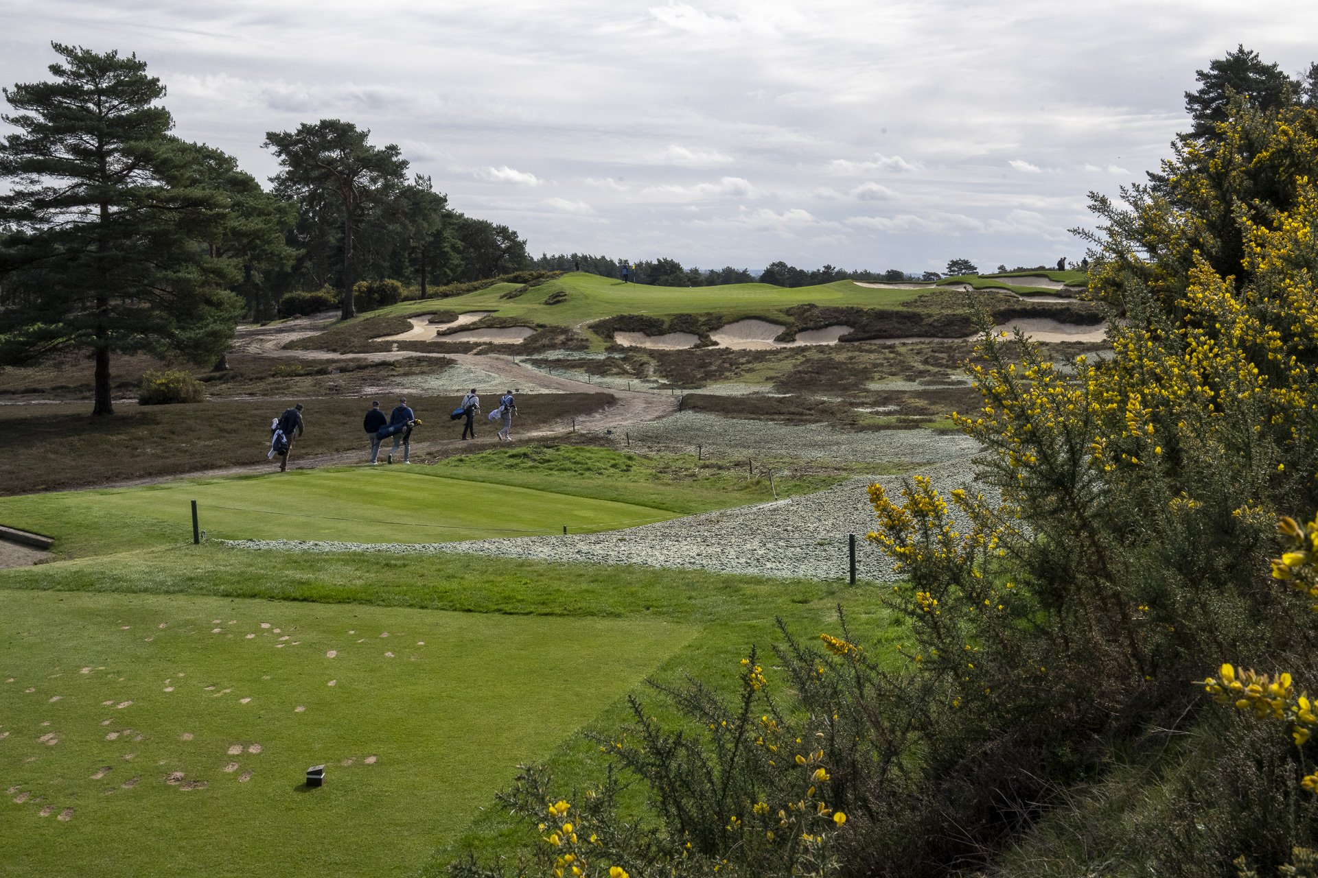 Sunningdale foursomes 2026 Tuesday-6155.jpg