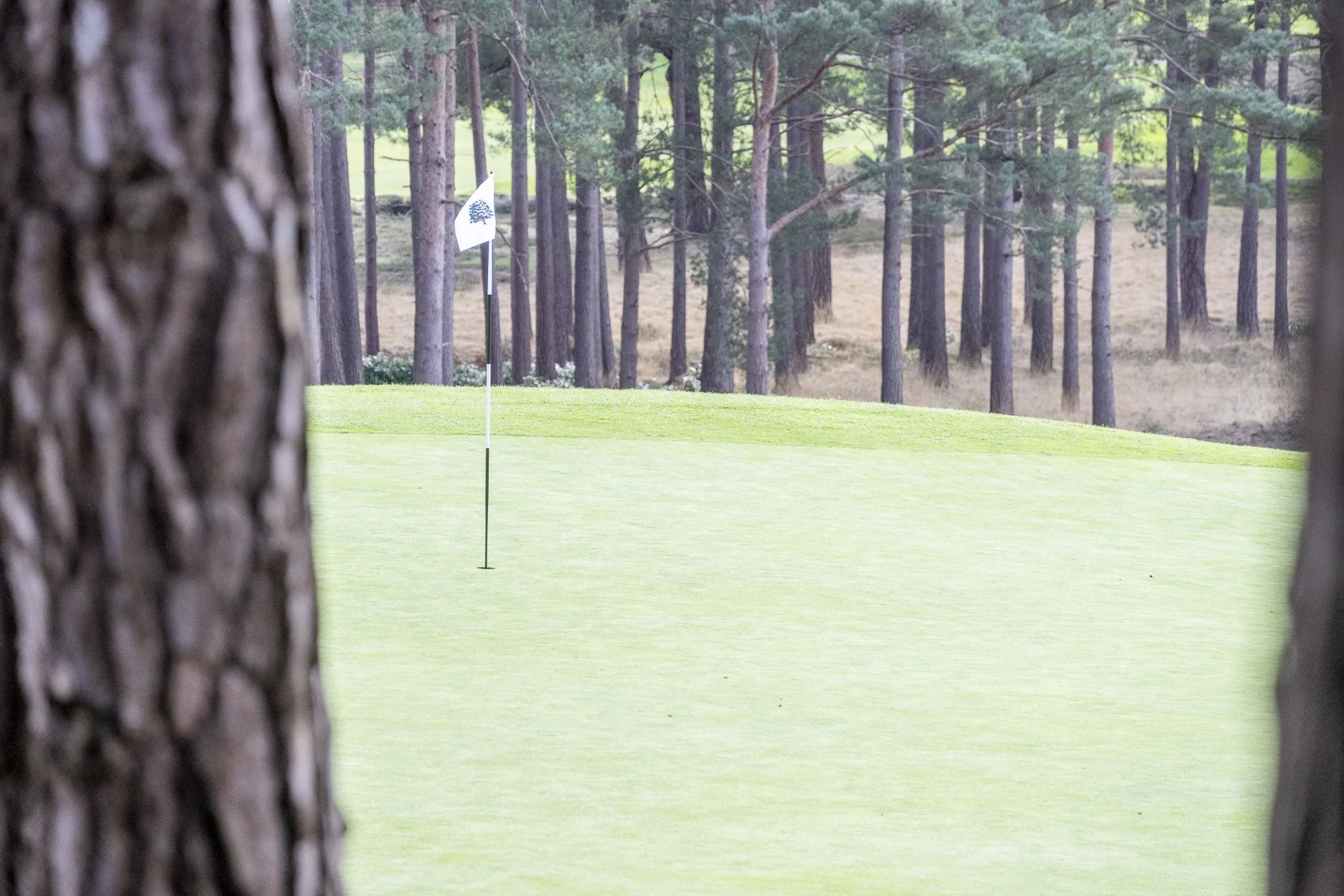 Sunningdale foursomes 2026 Tuesday-6591.jpg