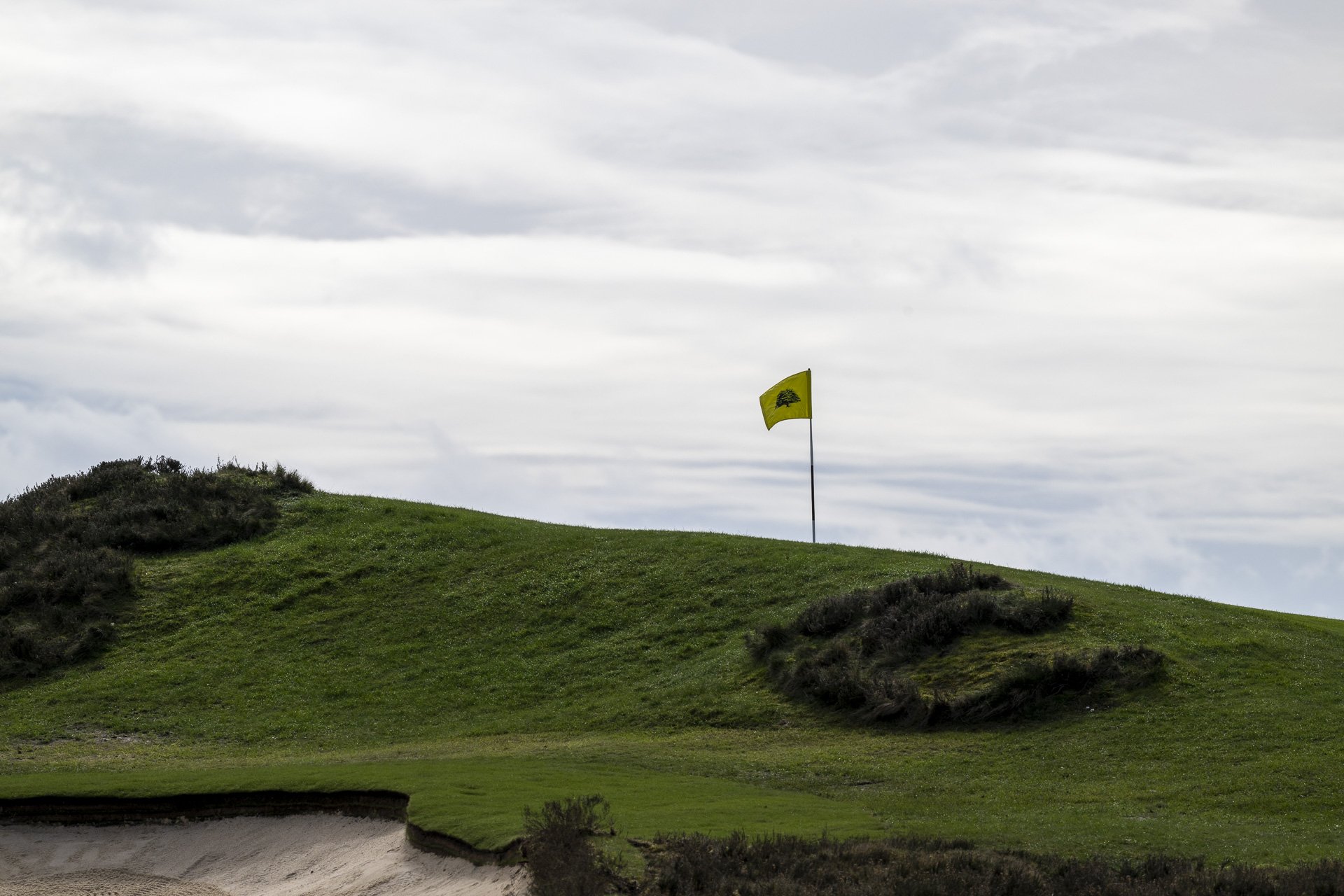Sunningdale foursomes 2026 Tuesday-5815.jpg