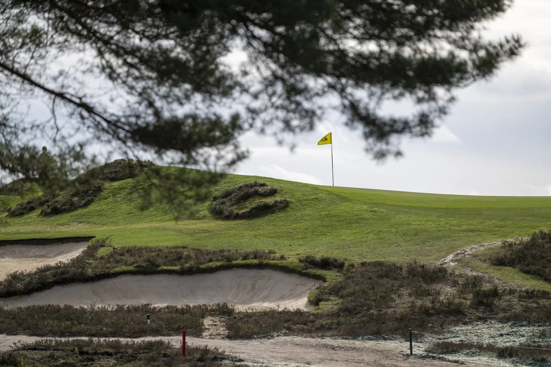 Sunningdale foursomes 2026 Tuesday-5846.jpg