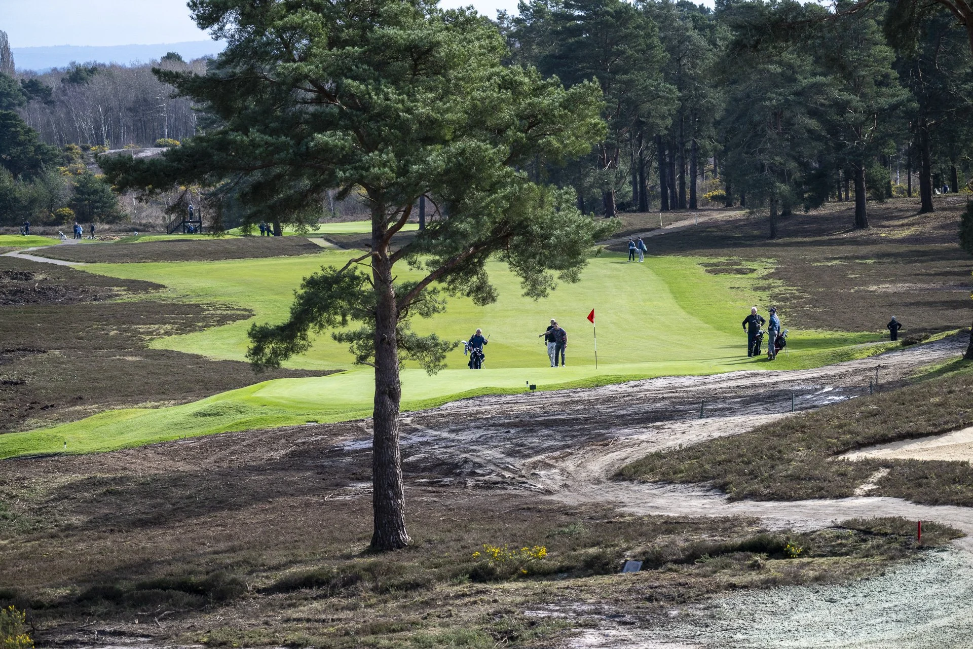 Sunningdale foursomes 2026 Tuesday-5936.jpg