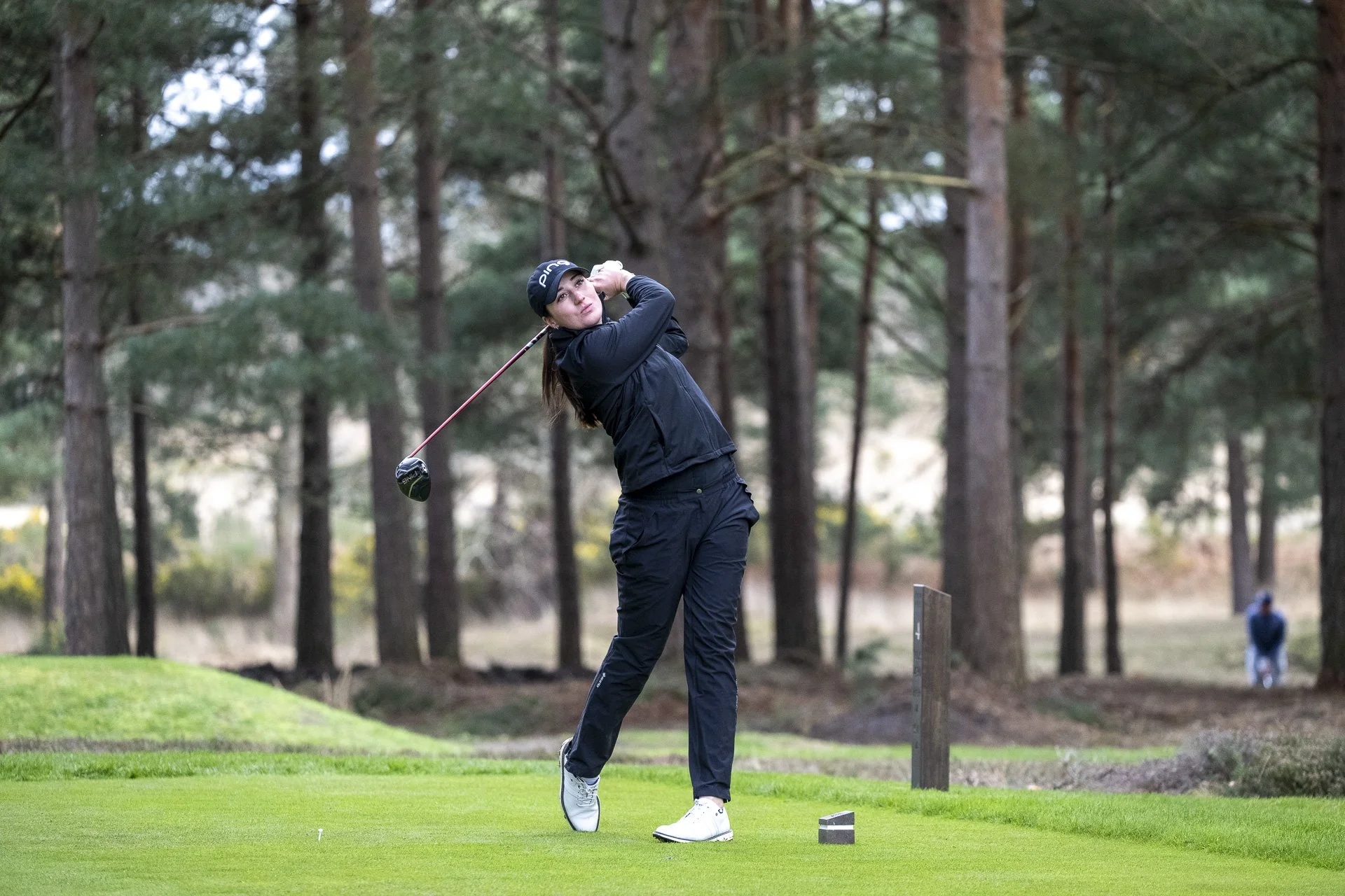 Sunningdale foursomes 2026 Tuesday-6684.jpg