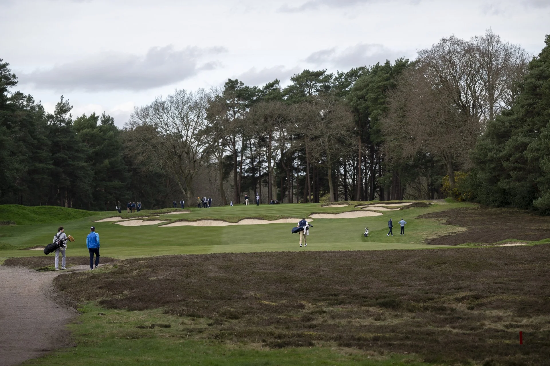 Sunningdale foursomes 2026 Tuesday-6887.jpg